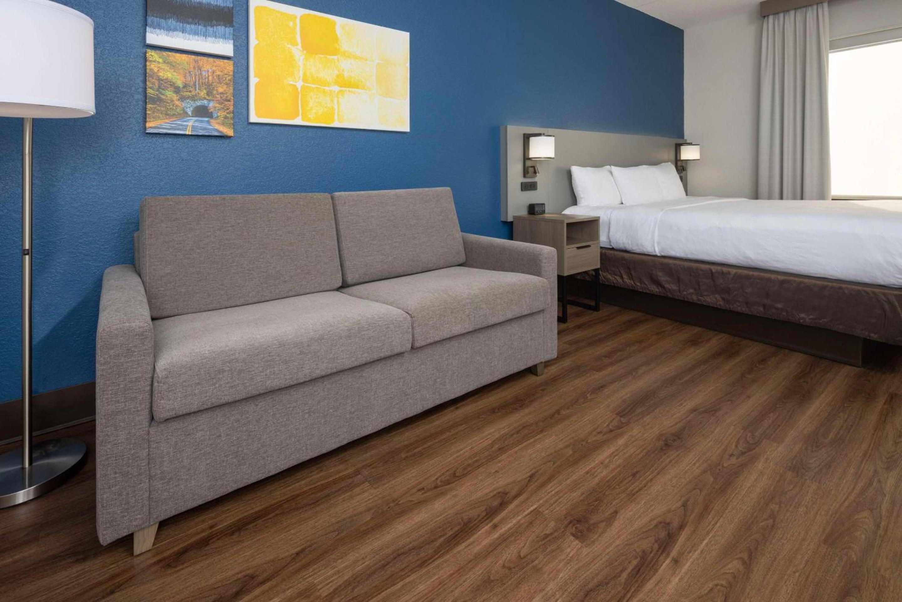King Suite with Sofa-Bed - Non-Smoking/Pets Friendly - Photo 6