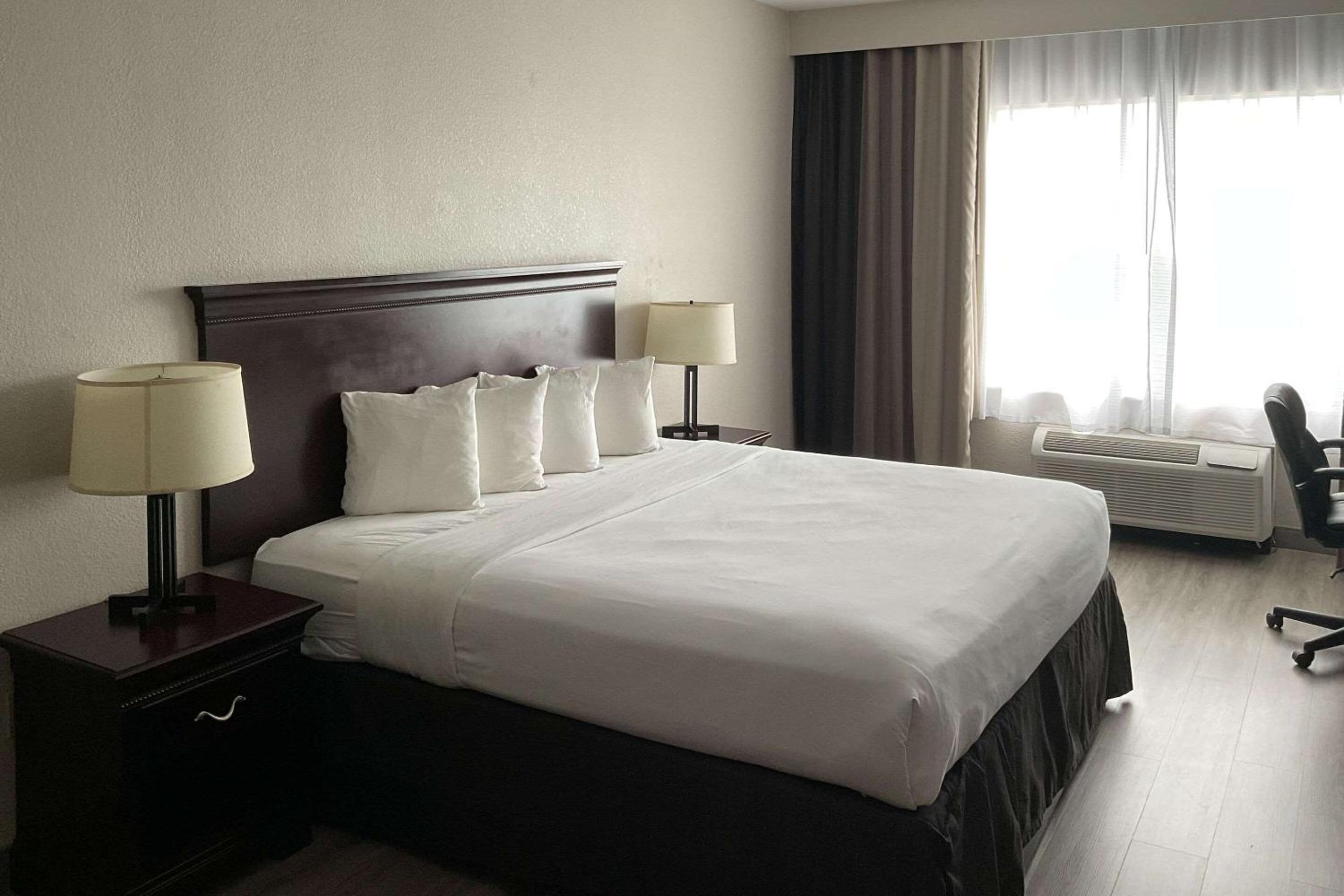 One-Bedroom King Suite - Photo 7