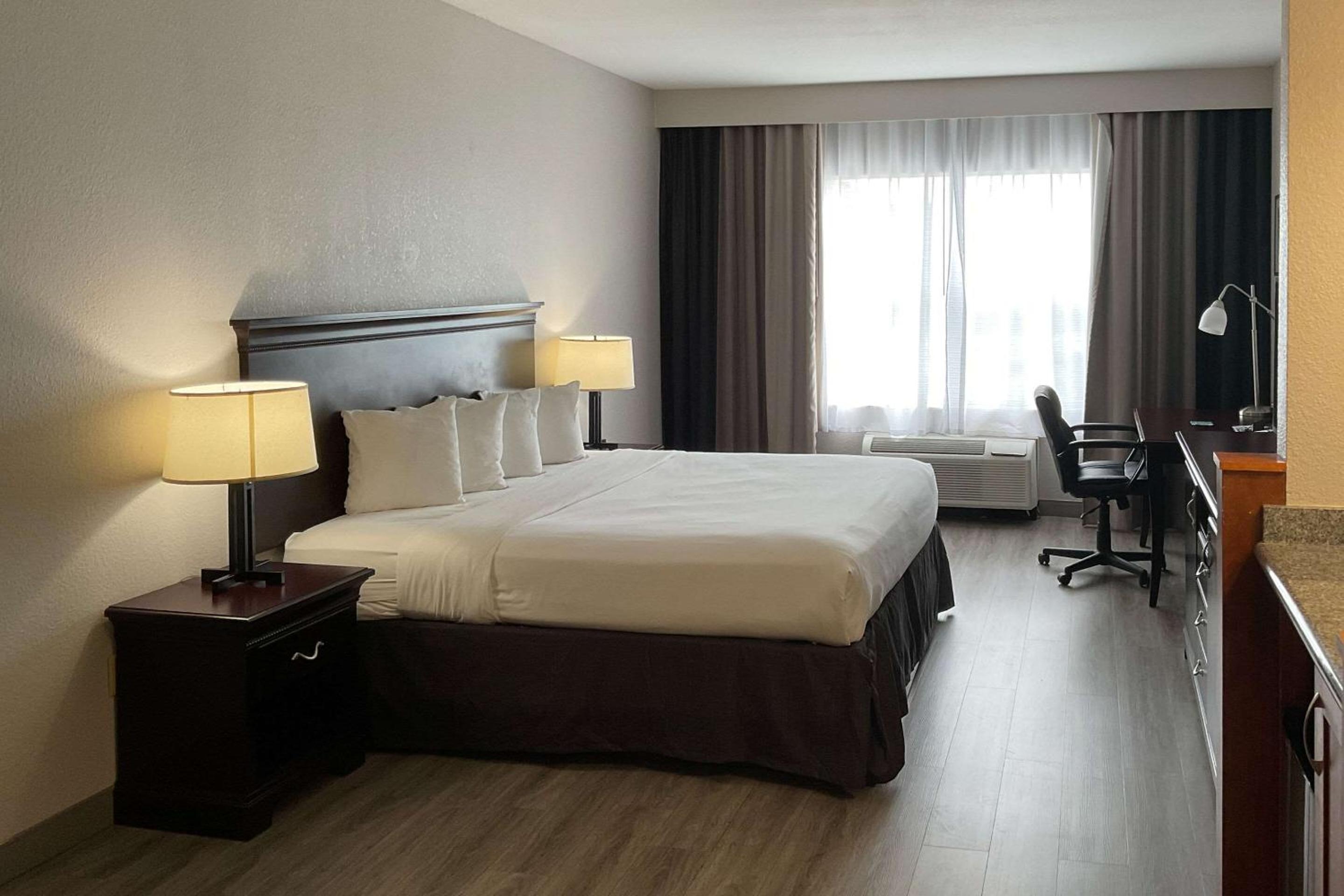 One-Bedroom King Suite - Photo 2
