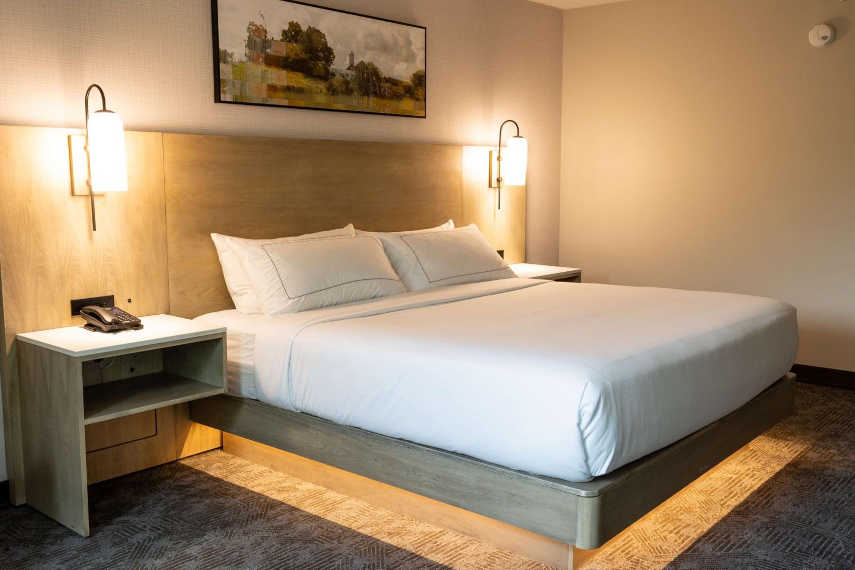 King Room