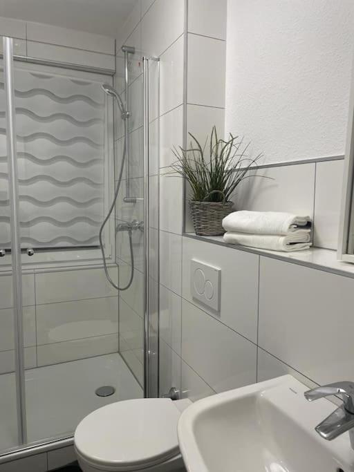 One-Bedroom Apartment photo 3
