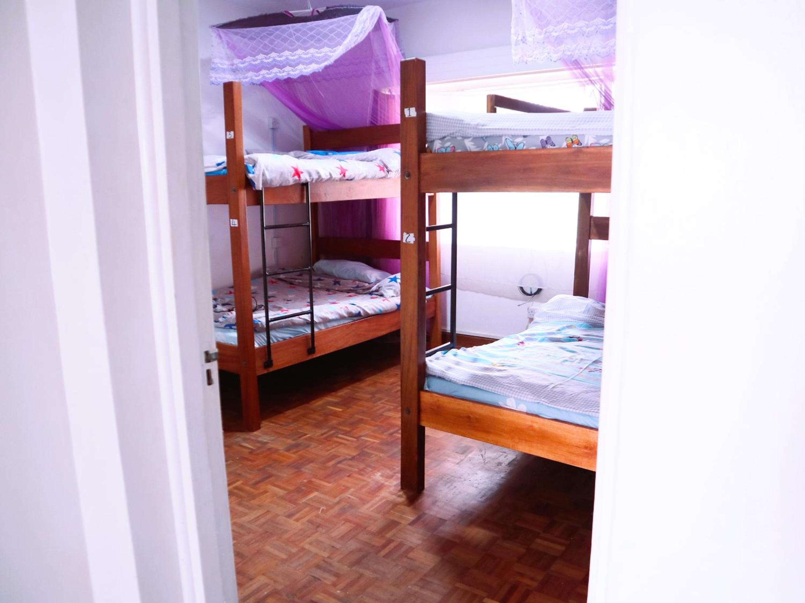 Bed in 4-Bed Mixed Dormitory Room photo 1