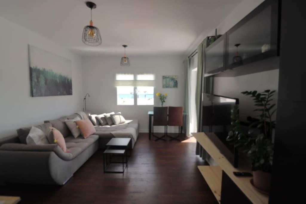 One-Bedroom Apartment photo 3