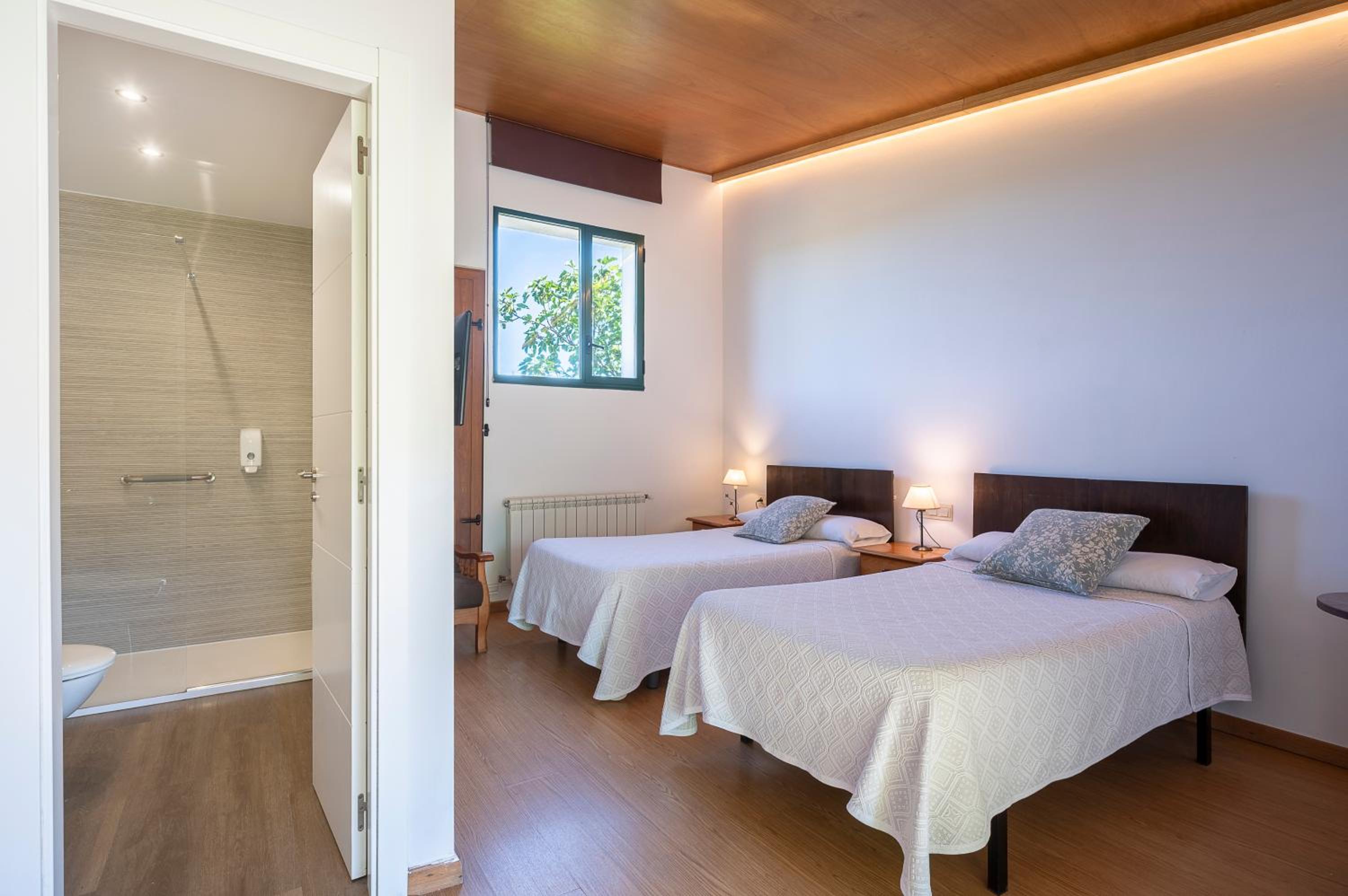 Apartment with Terrace photo 3