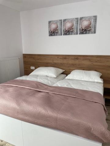 One-Bedroom Apartment with Terrace photo 2
