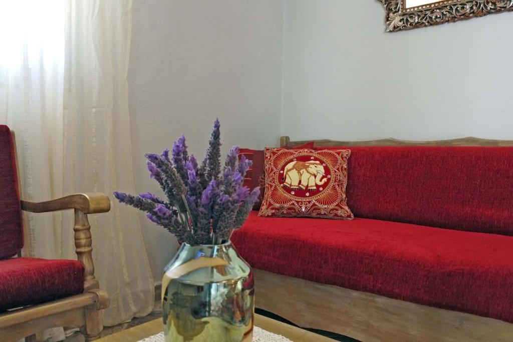 One-Bedroom House photo 2