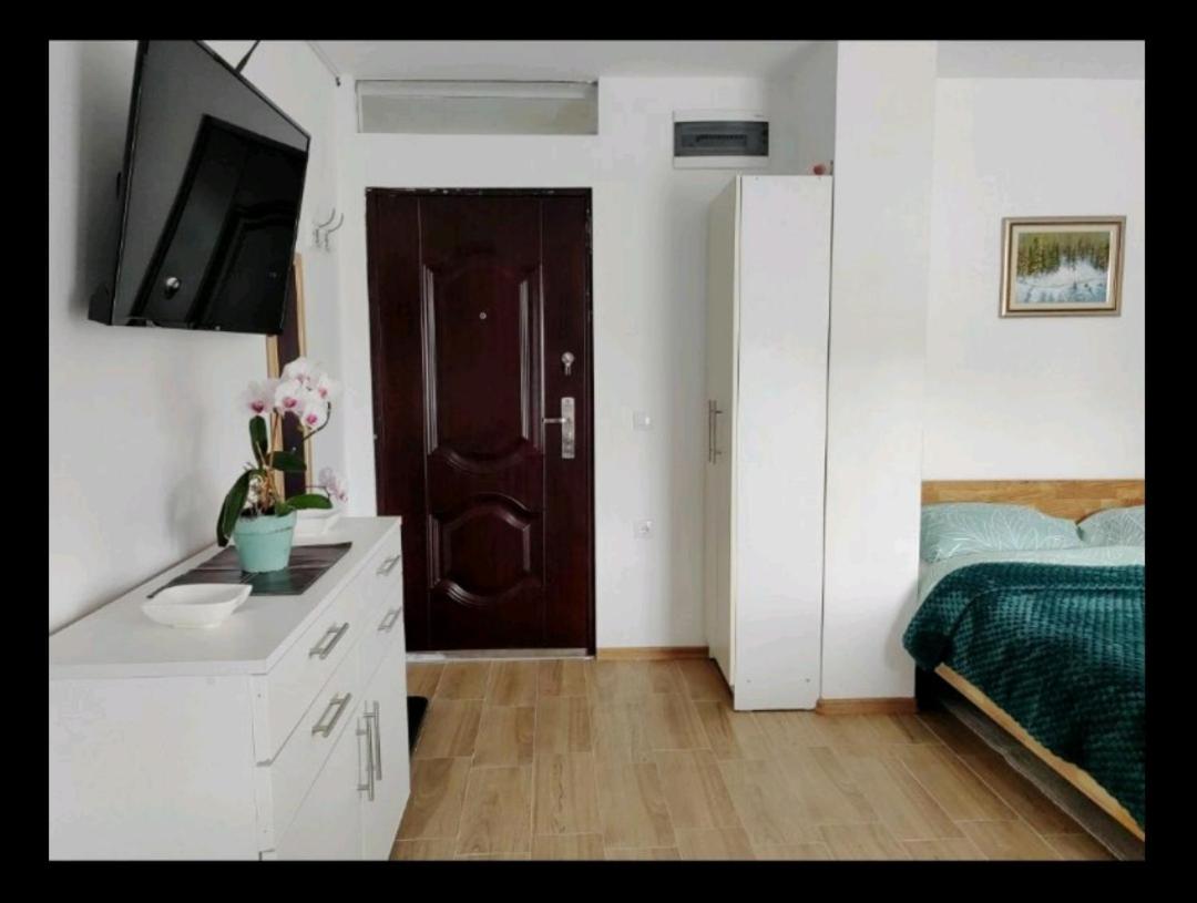 One-Bedroom Apartment photo 3