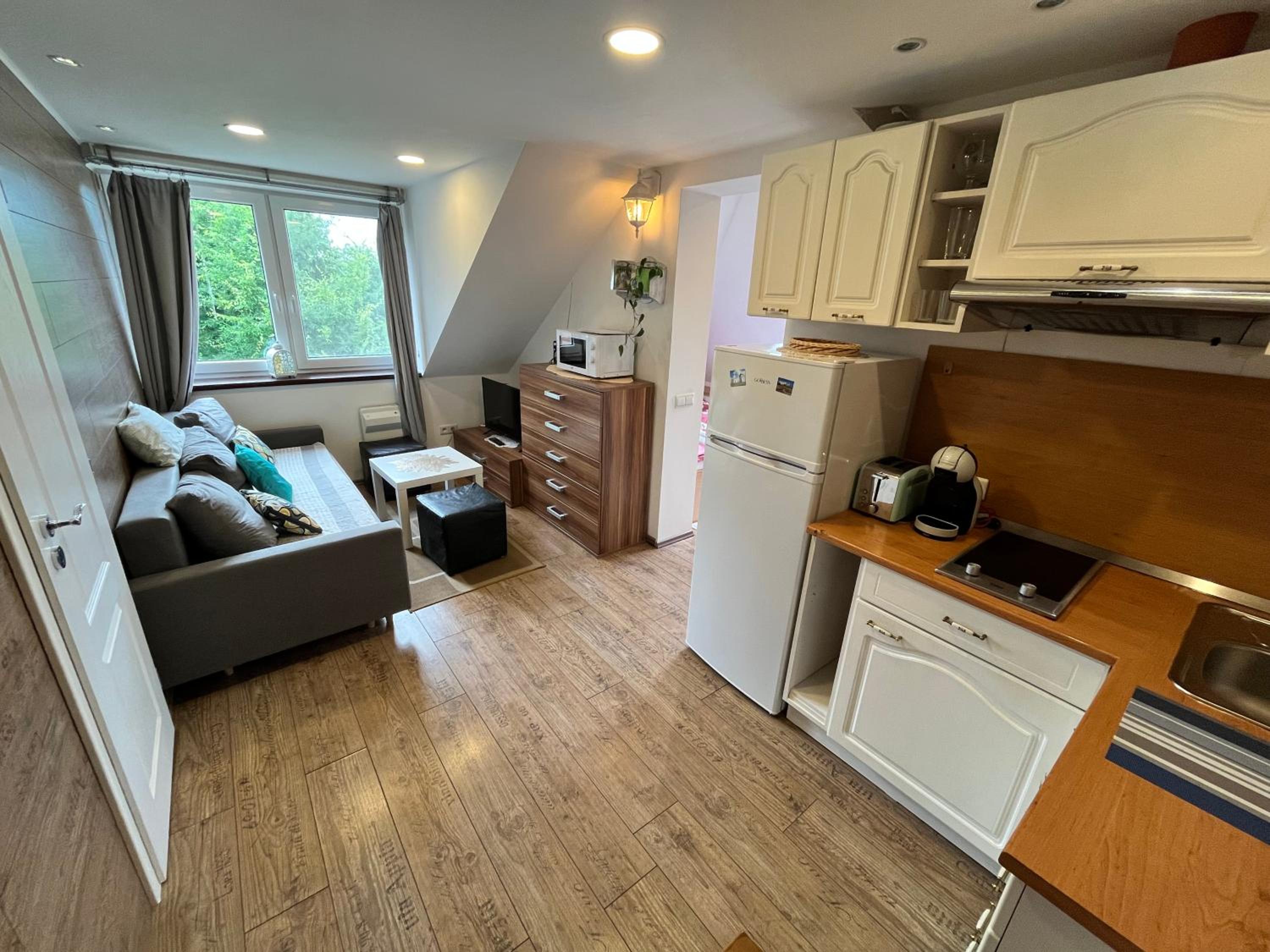 One-Bedroom Attic Apartment - Photo 9