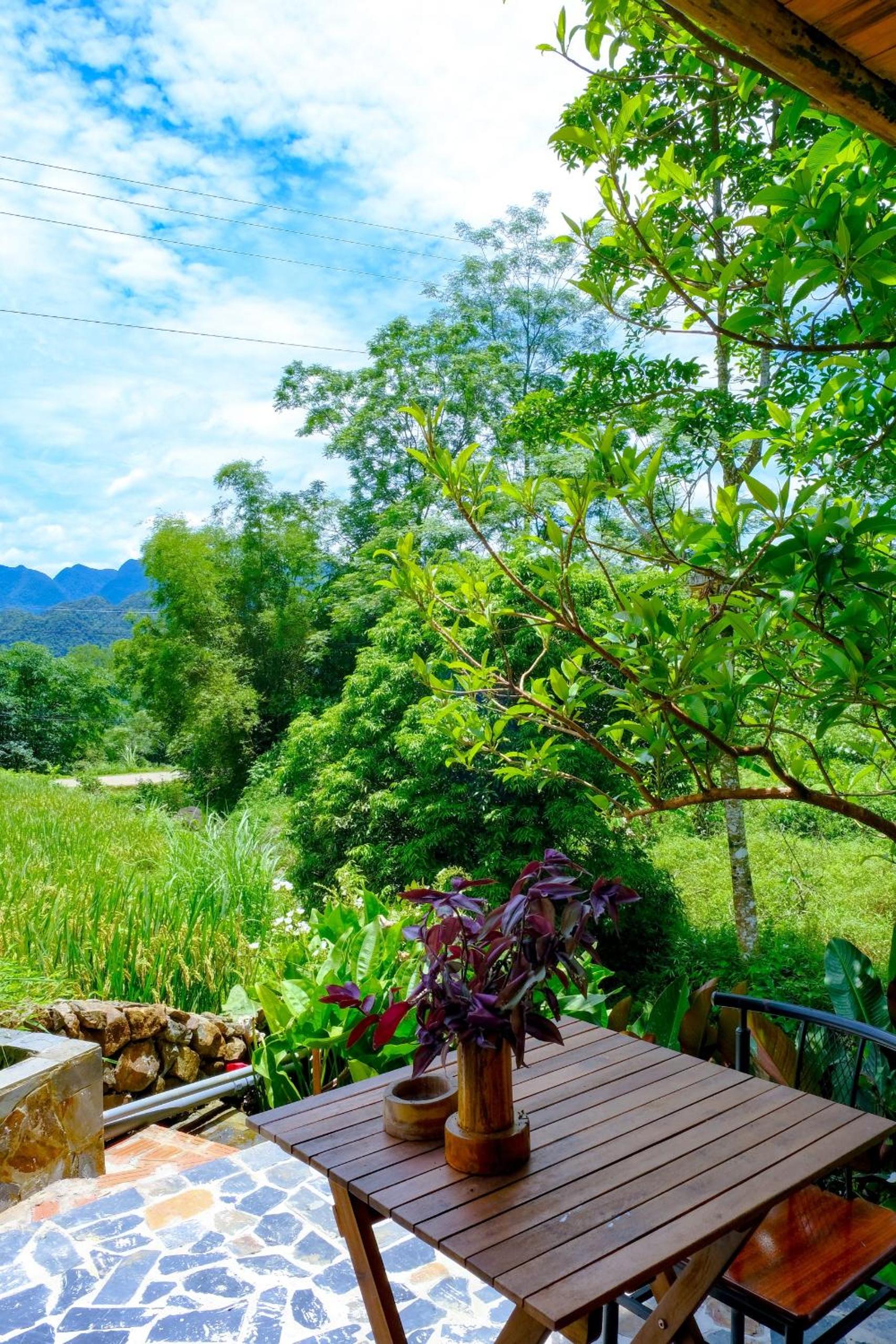 King Room with Rice Fields & Mountain View photo 3