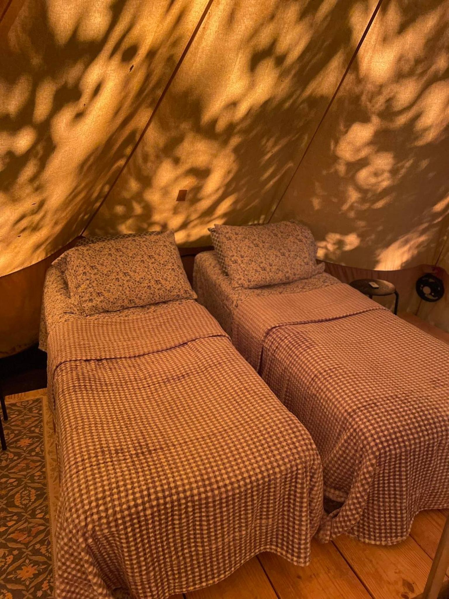 Tent photo 1