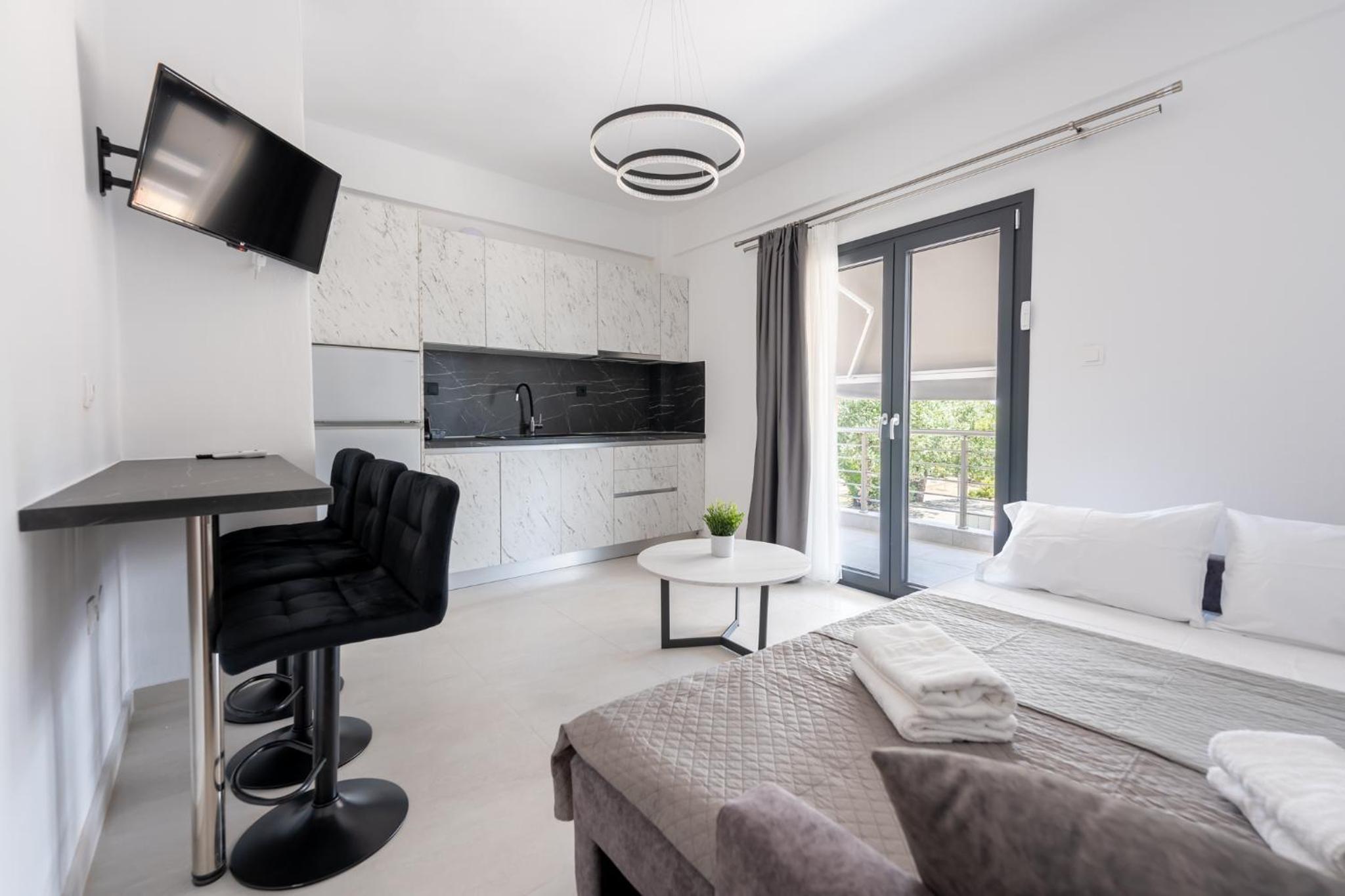 One-Bedroom Apartment with Park View