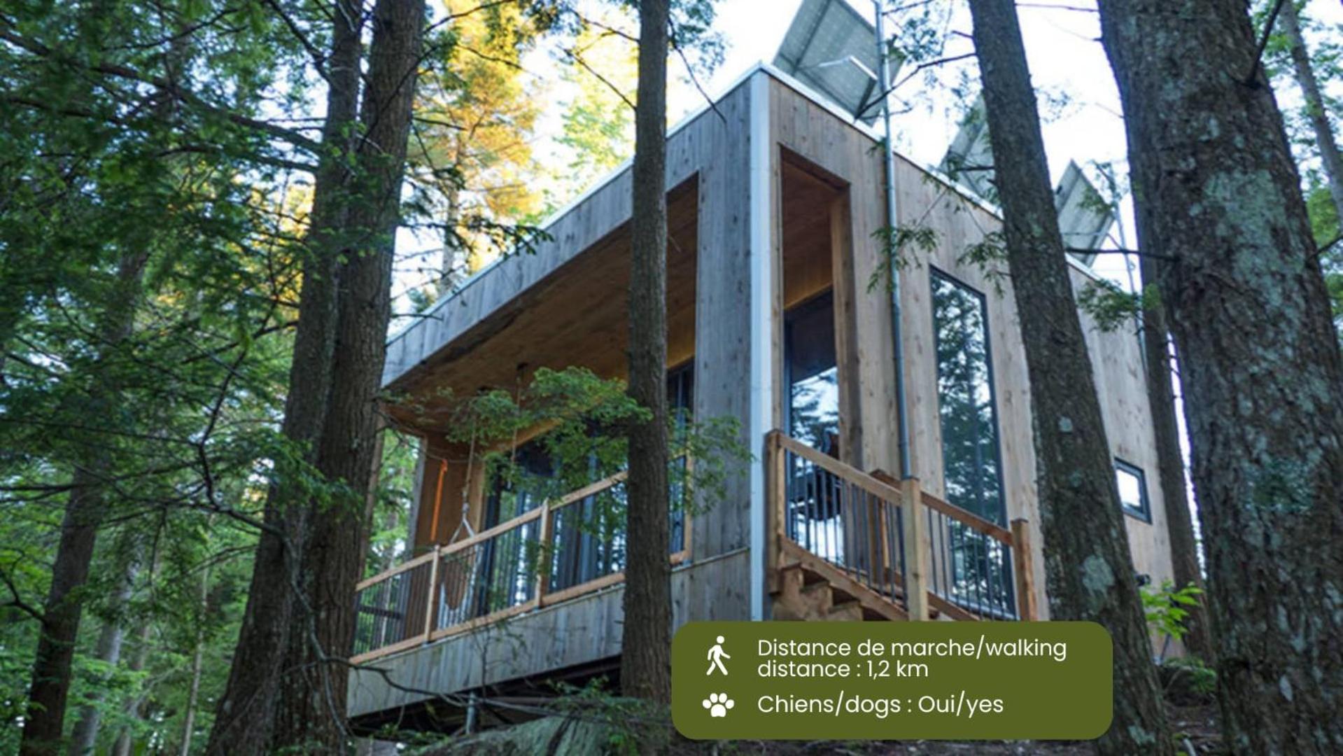 Chalet photo 1