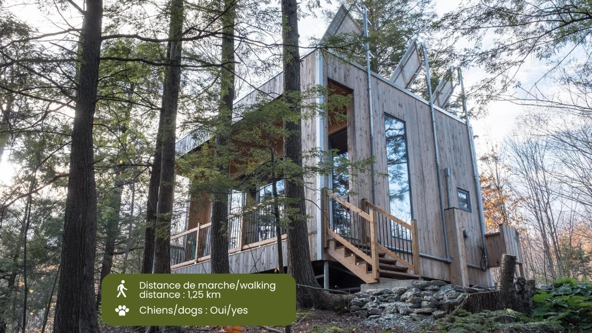 Chalet photo 1