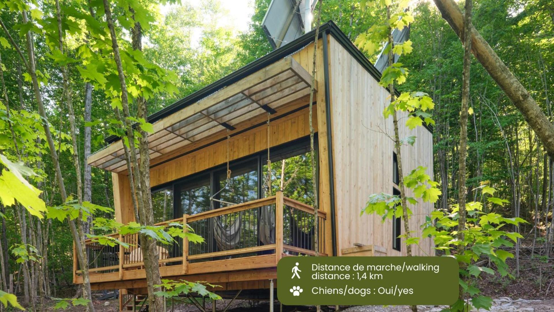 Chalet photo 1