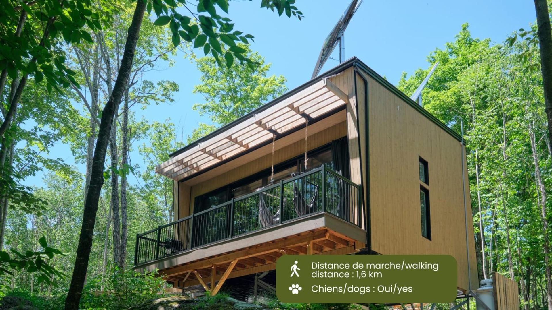 Chalet photo 1