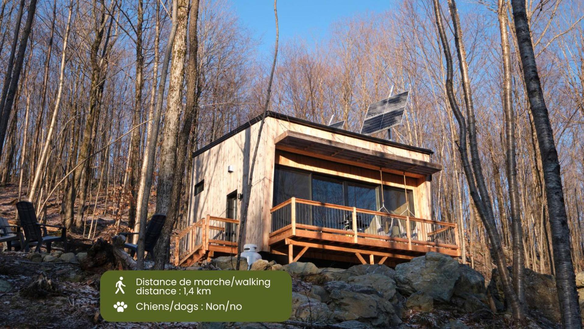 Chalet photo 1