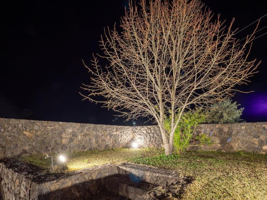 Villa photo 3