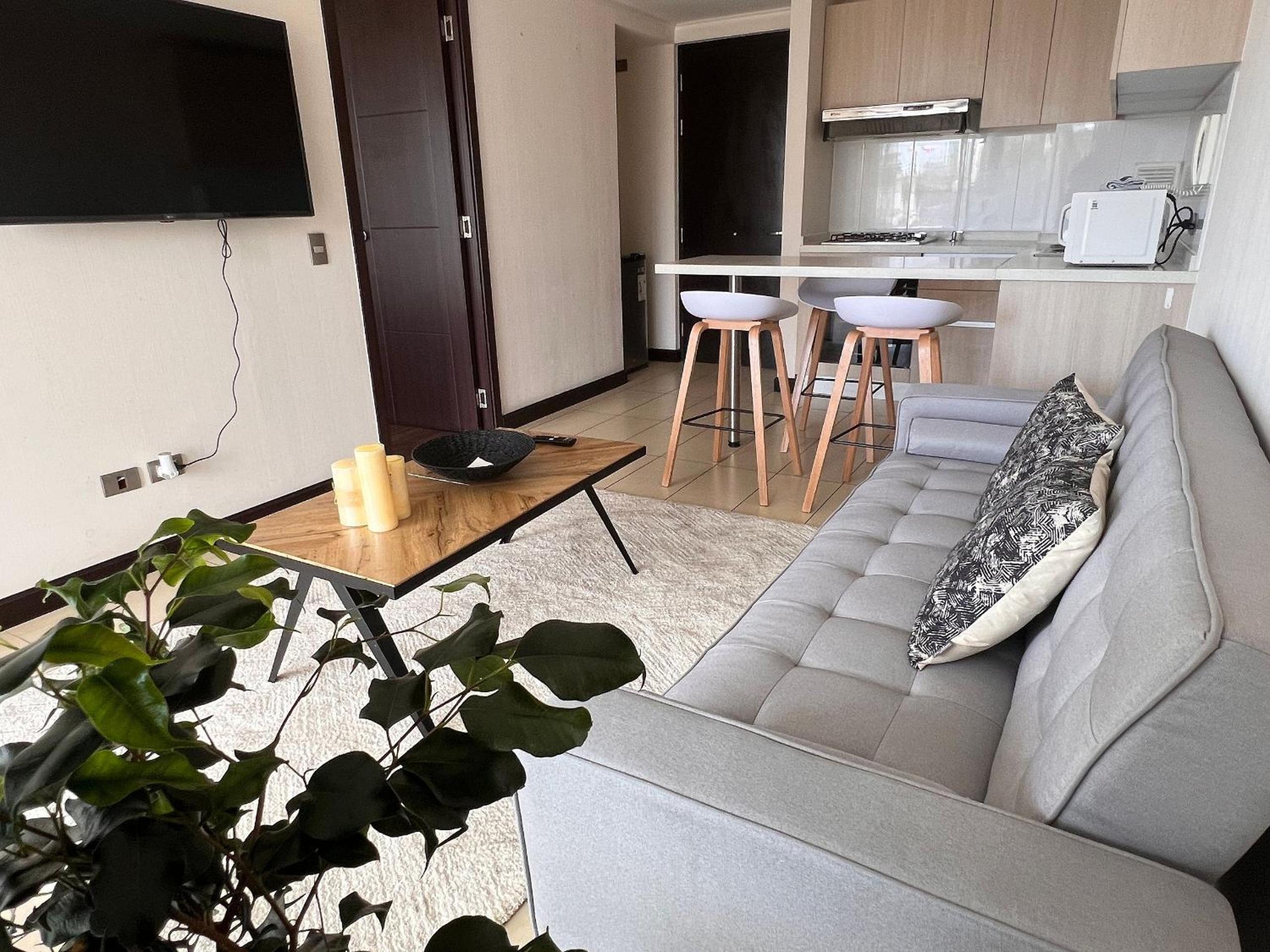 One-Bedroom Apartment photo 1
