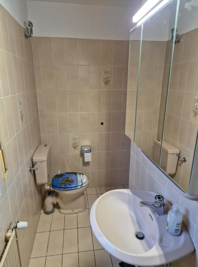 One-Bedroom Apartment photo 3