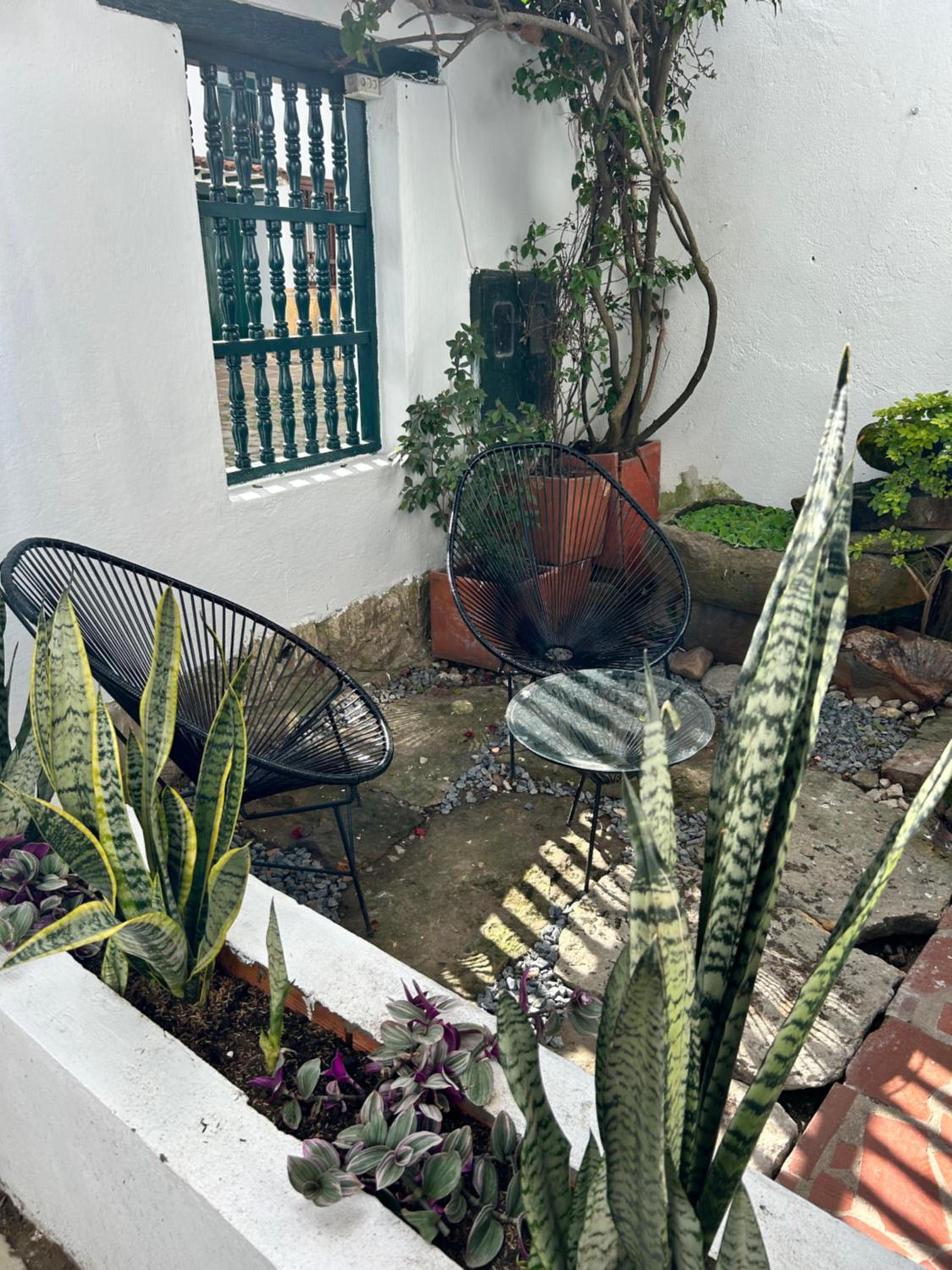 Double Room with Terrace photo 3