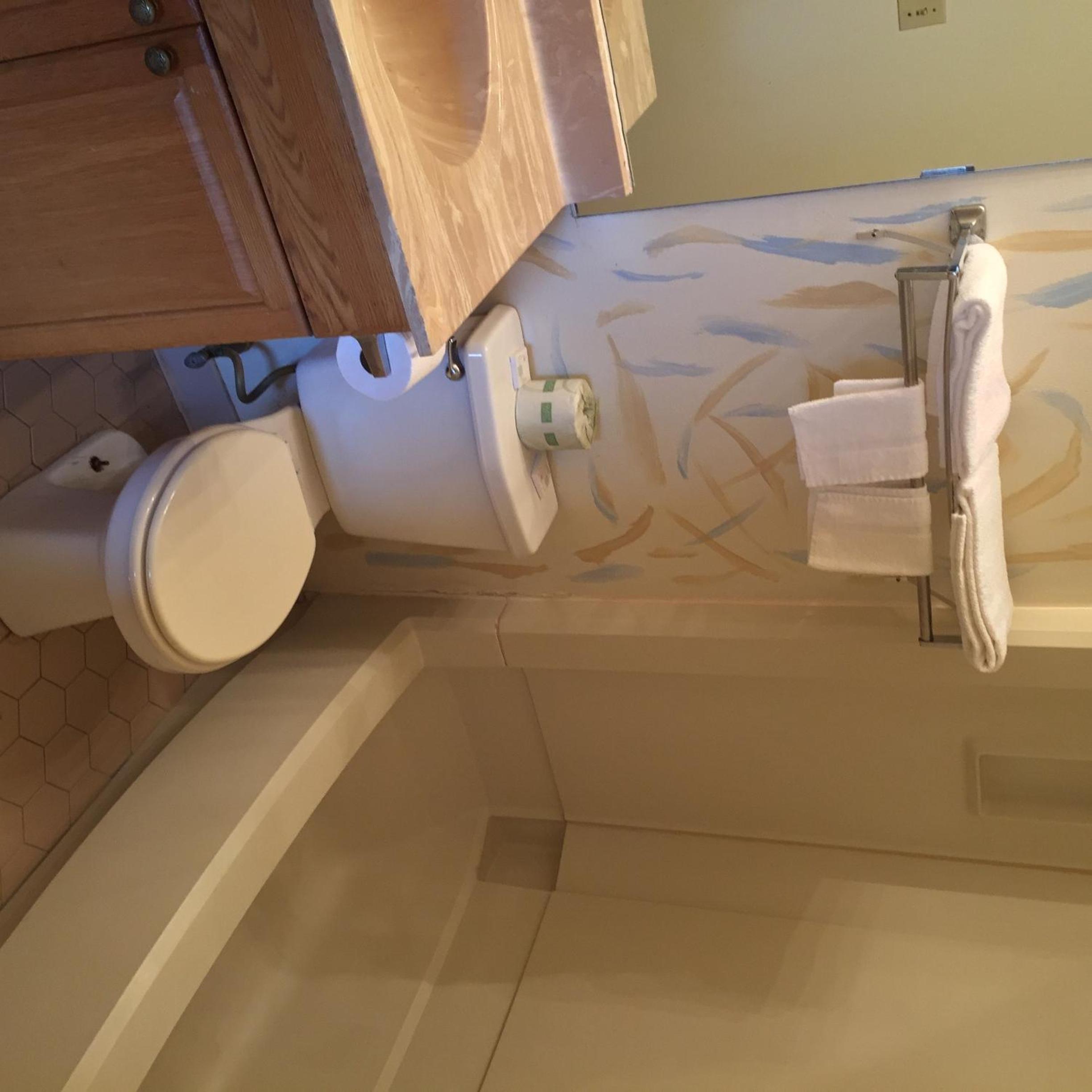 One Bedroom Suite  photo 2
