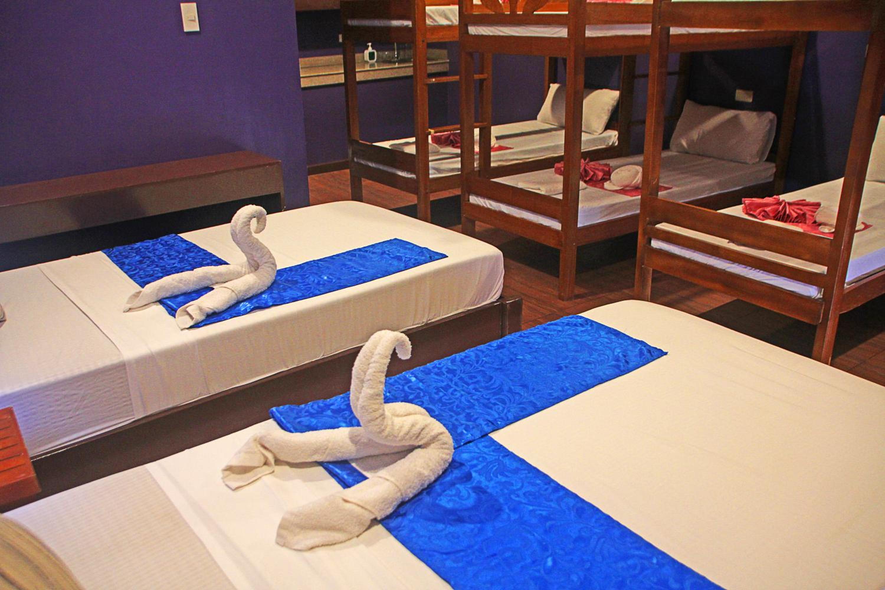 Bed In 8-Bed Mixed Dormitory Room photo 1