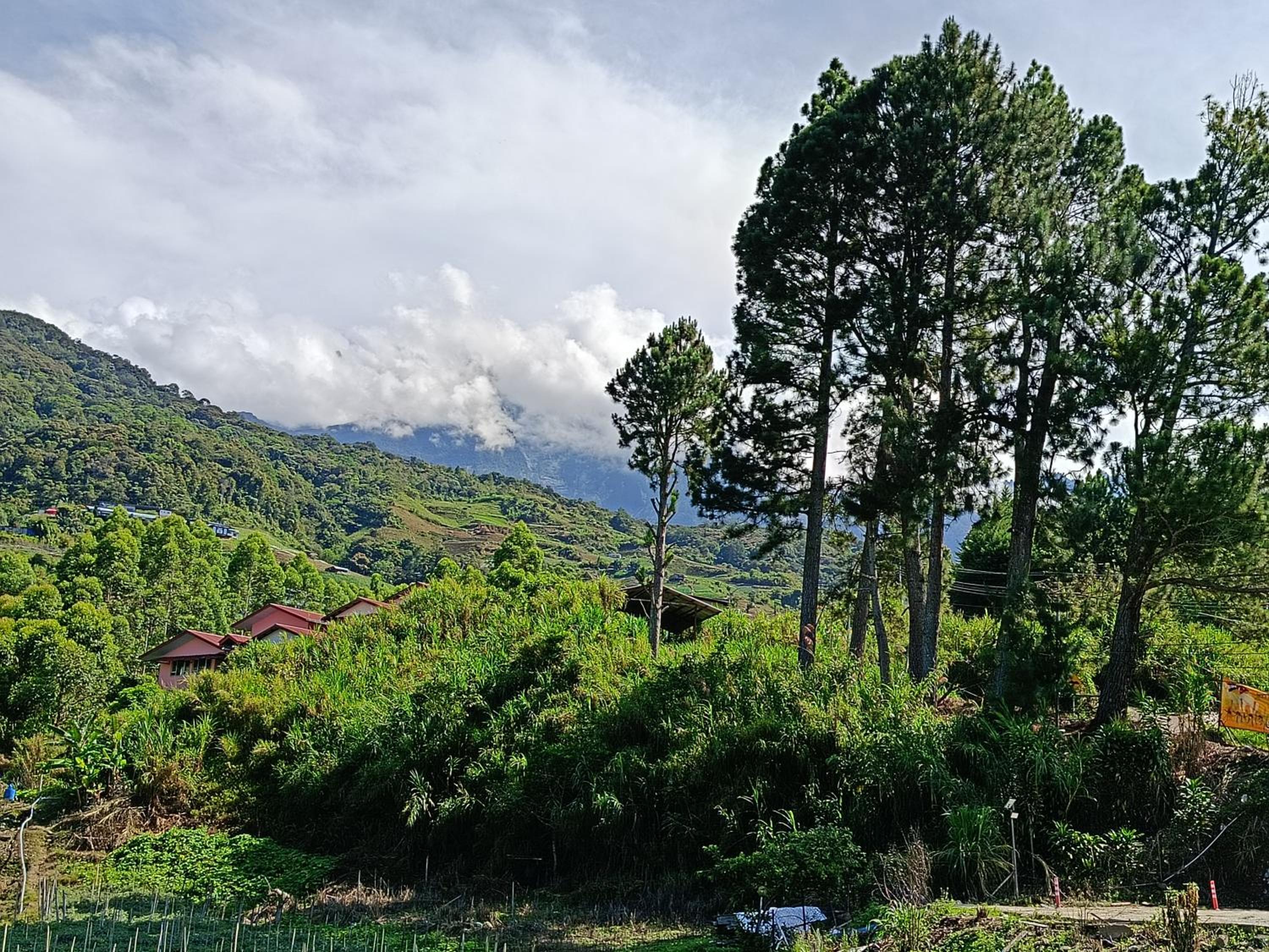 Double Room with Mountain View photo 2