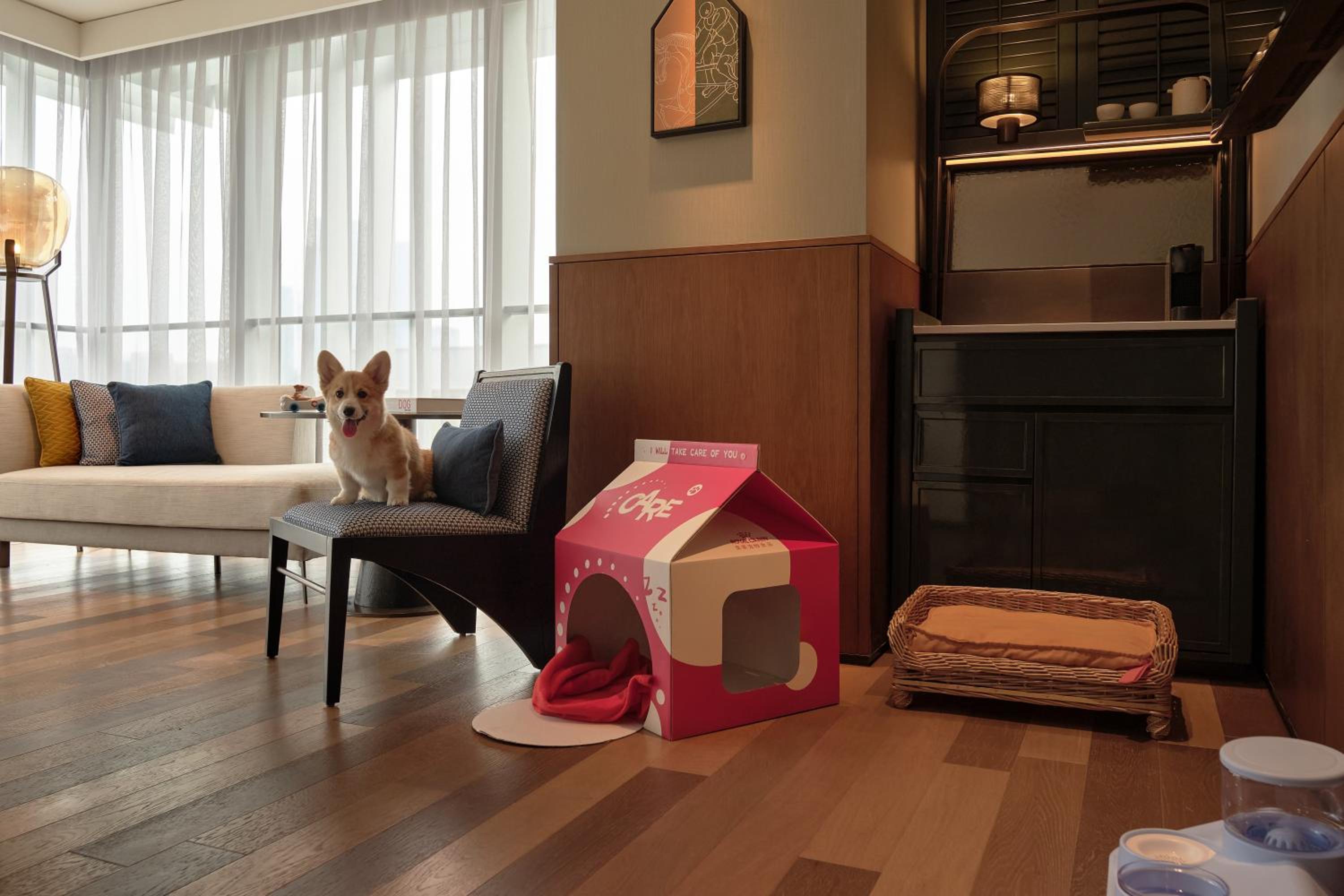 Premium Room - Pet Friendly