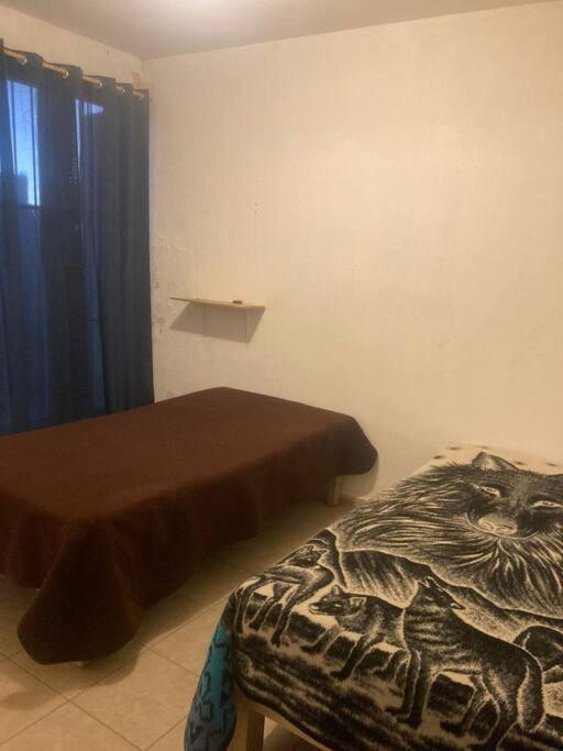One-Bedroom House photo 1