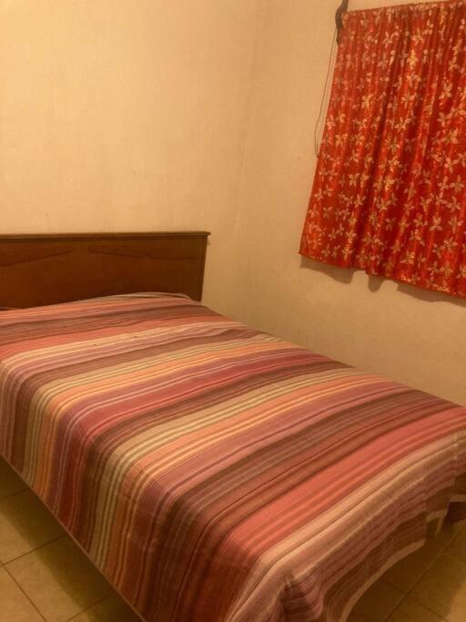 One-Bedroom House photo 3