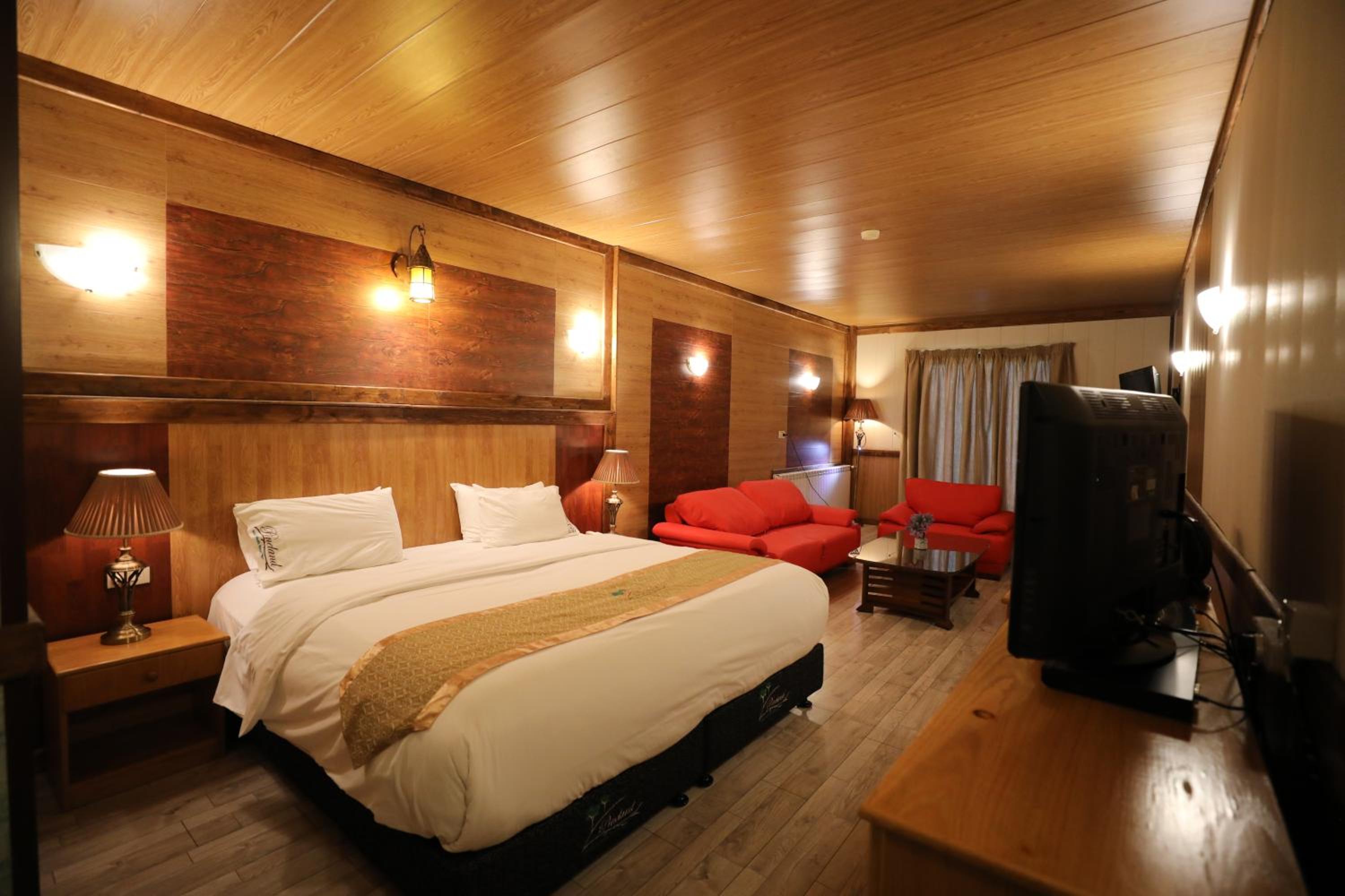 Executive Room photo 1