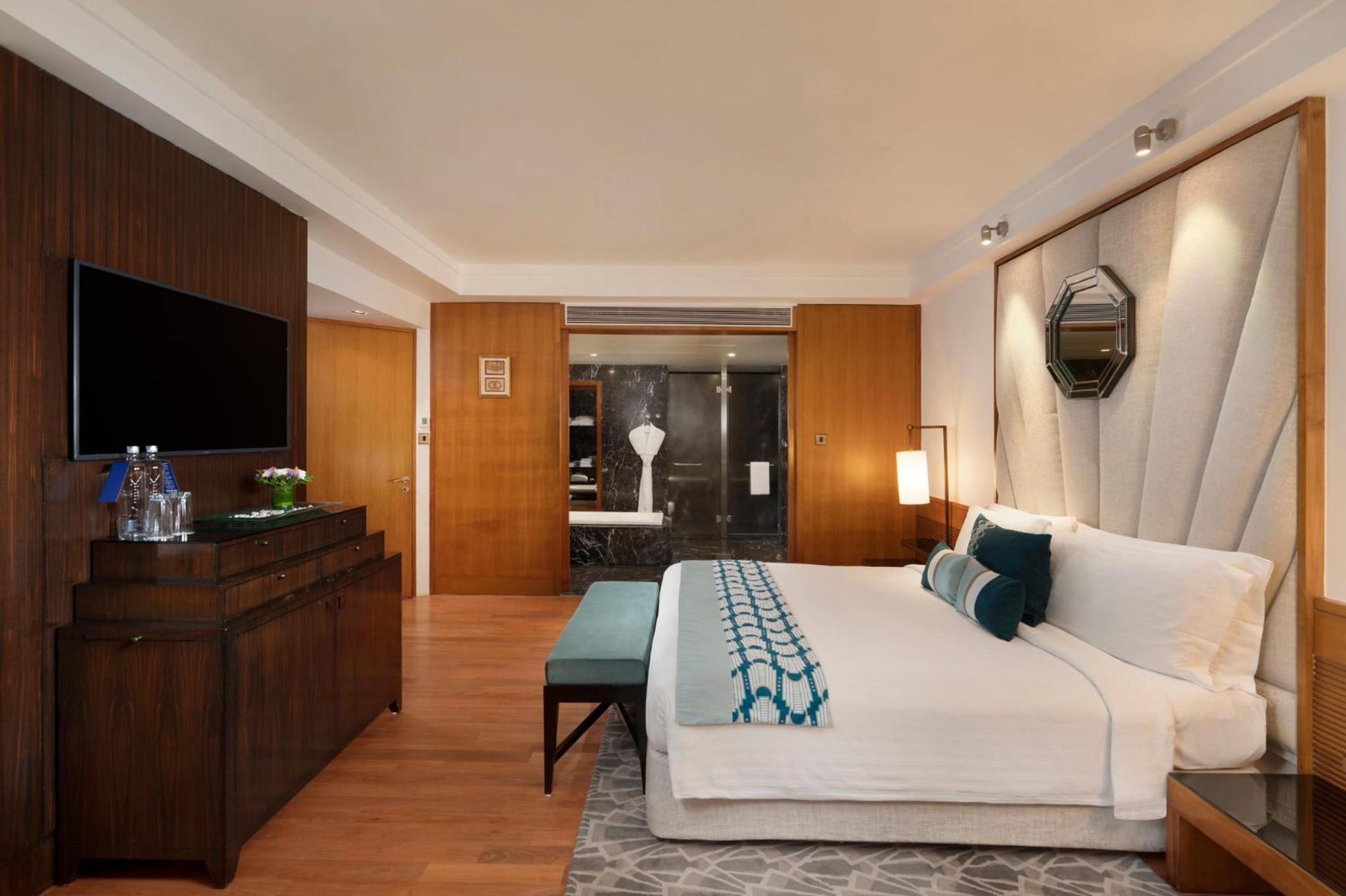 Luxury Suite - Photo 8
