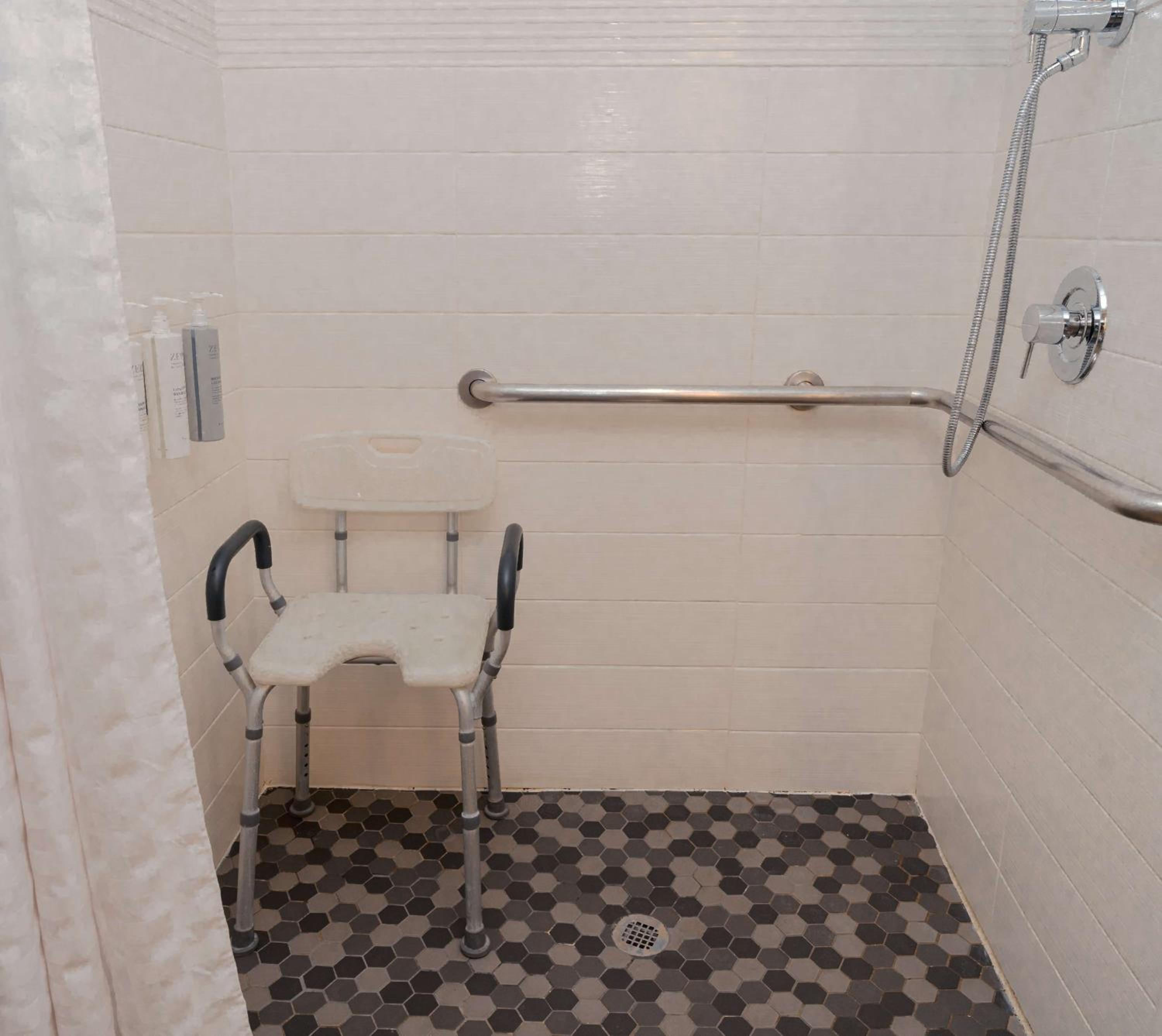 King Suite with Accessible Tub - Mobility and Hearing Access/Non-Smoking - Photo 4