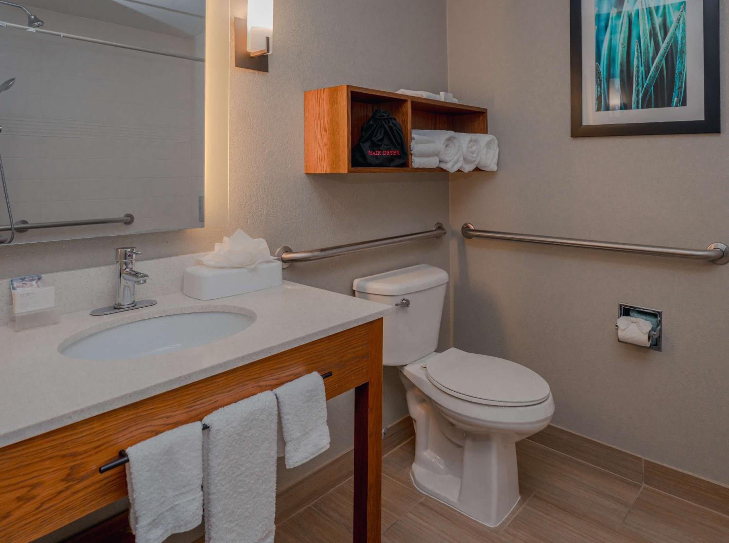 King Suite with Accessible Tub - Mobility and Hearing Access/Non-Smoking - Photo 5