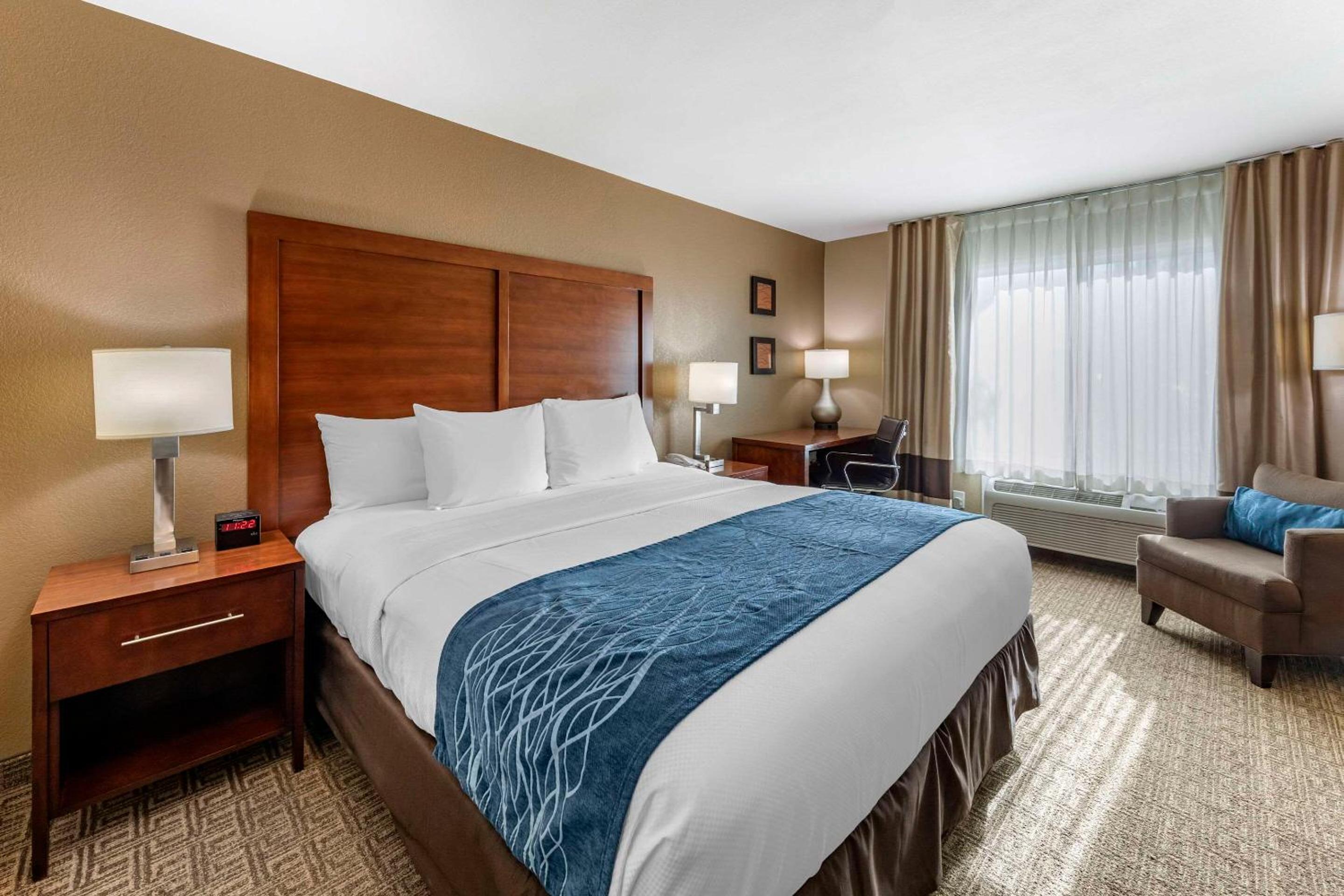 King Room with Roll-In Shower - Accessible/Non-Smoking - Photo 1