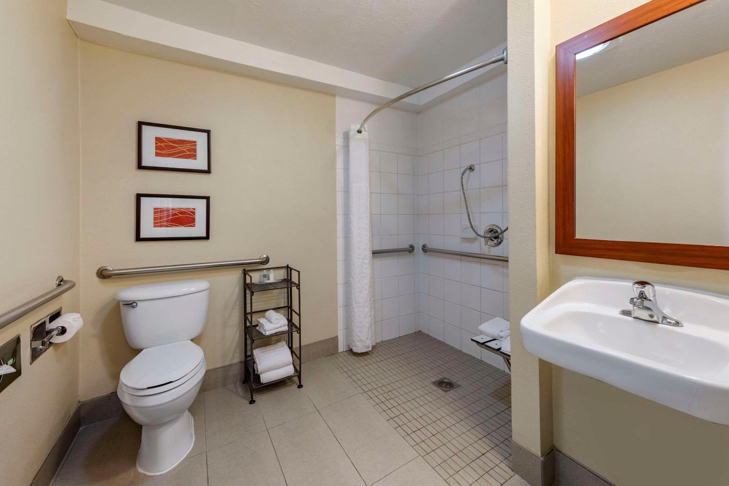 King Room with Roll-In Shower - Accessible/Non-Smoking - Photo 4