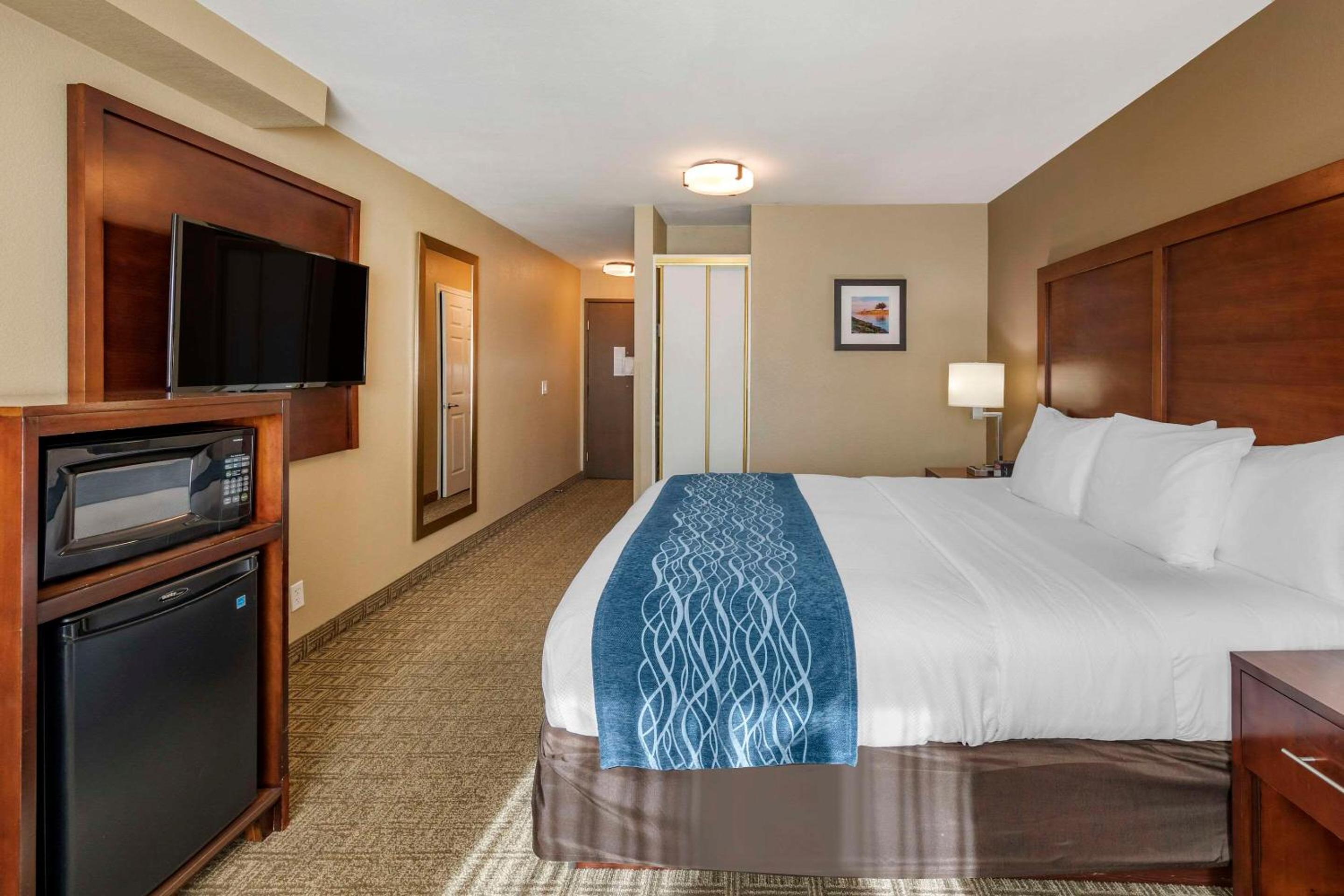 King Room with Roll-In Shower - Accessible/Non-Smoking - Photo 3
