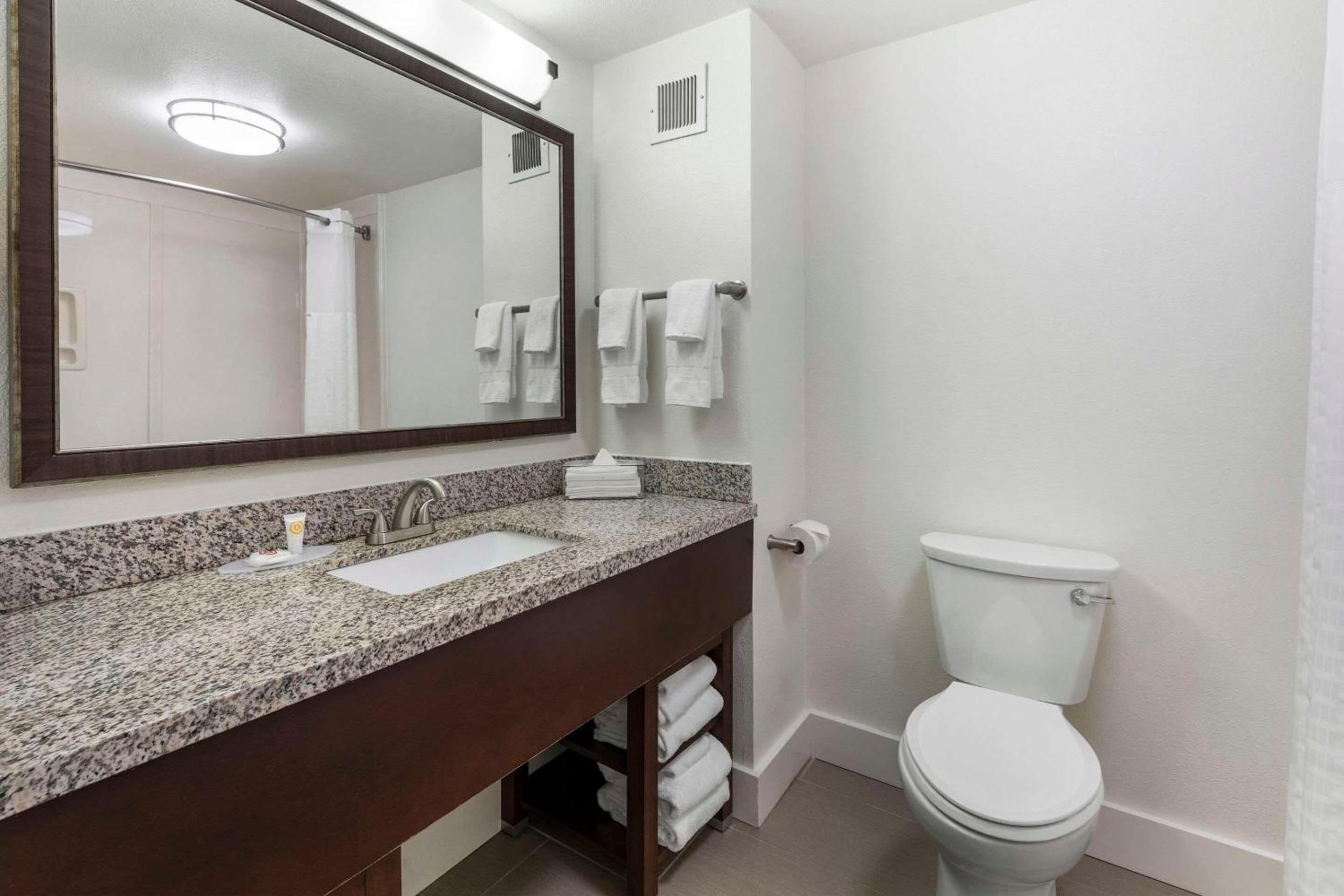Double Queen Suite with Sofa Bed - Photo 2