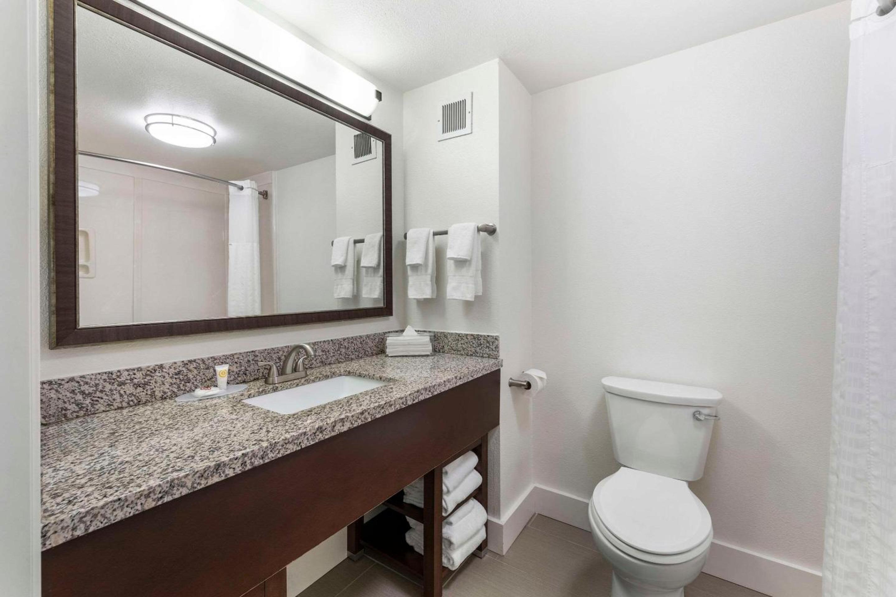 King Suite - Photo 2