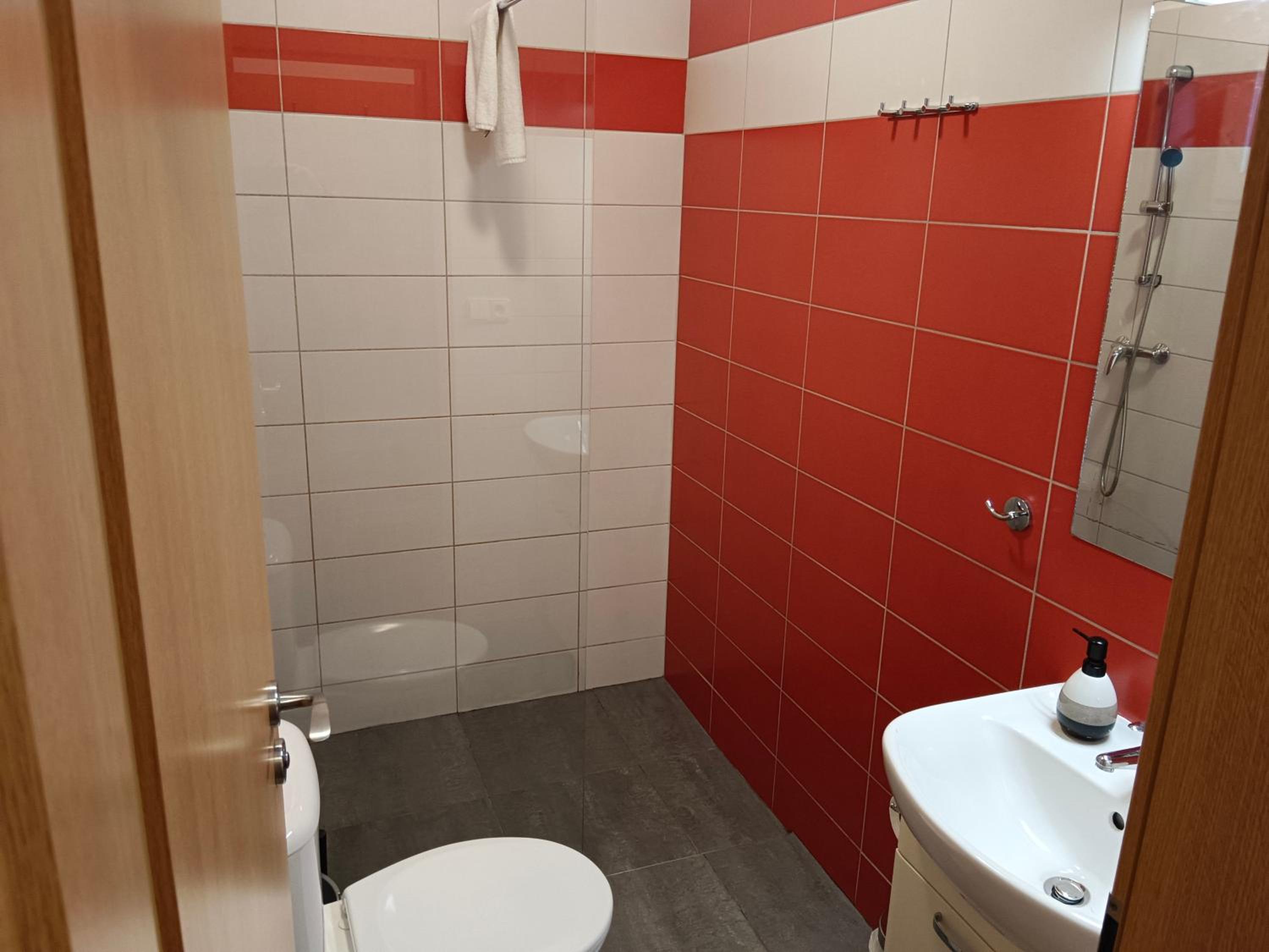 Apartment with Sauna photo 2