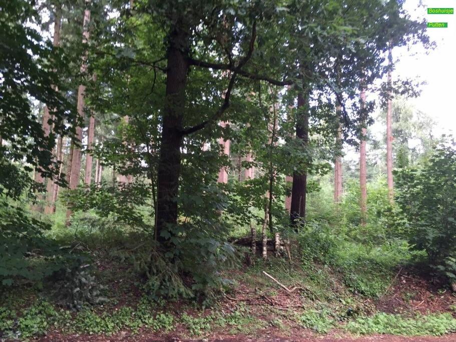 Vacation Home - Photo 17