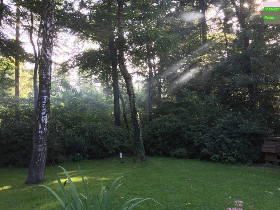 Vacation Home - Photo 15
