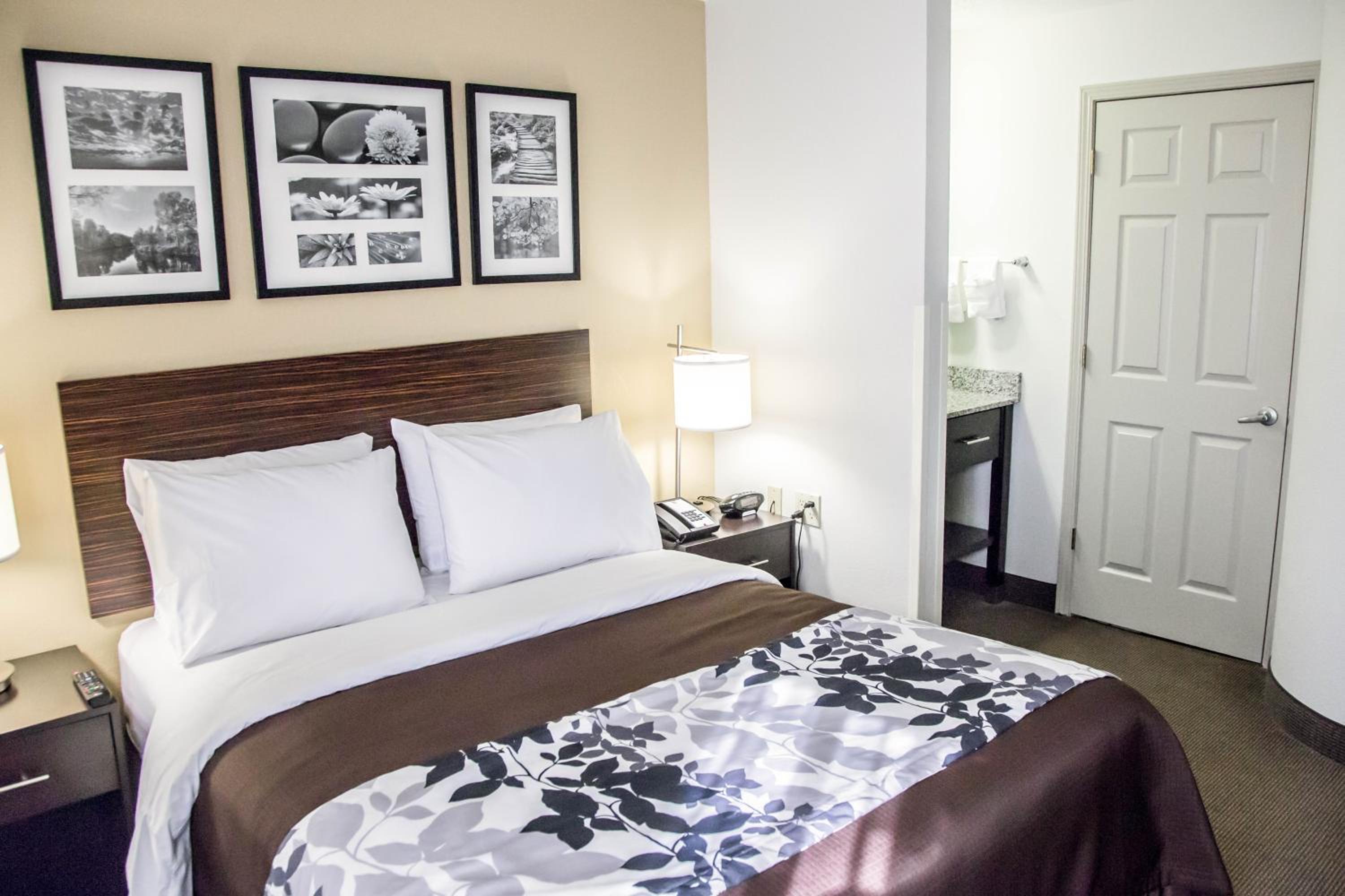 Queen Room - Photo 1