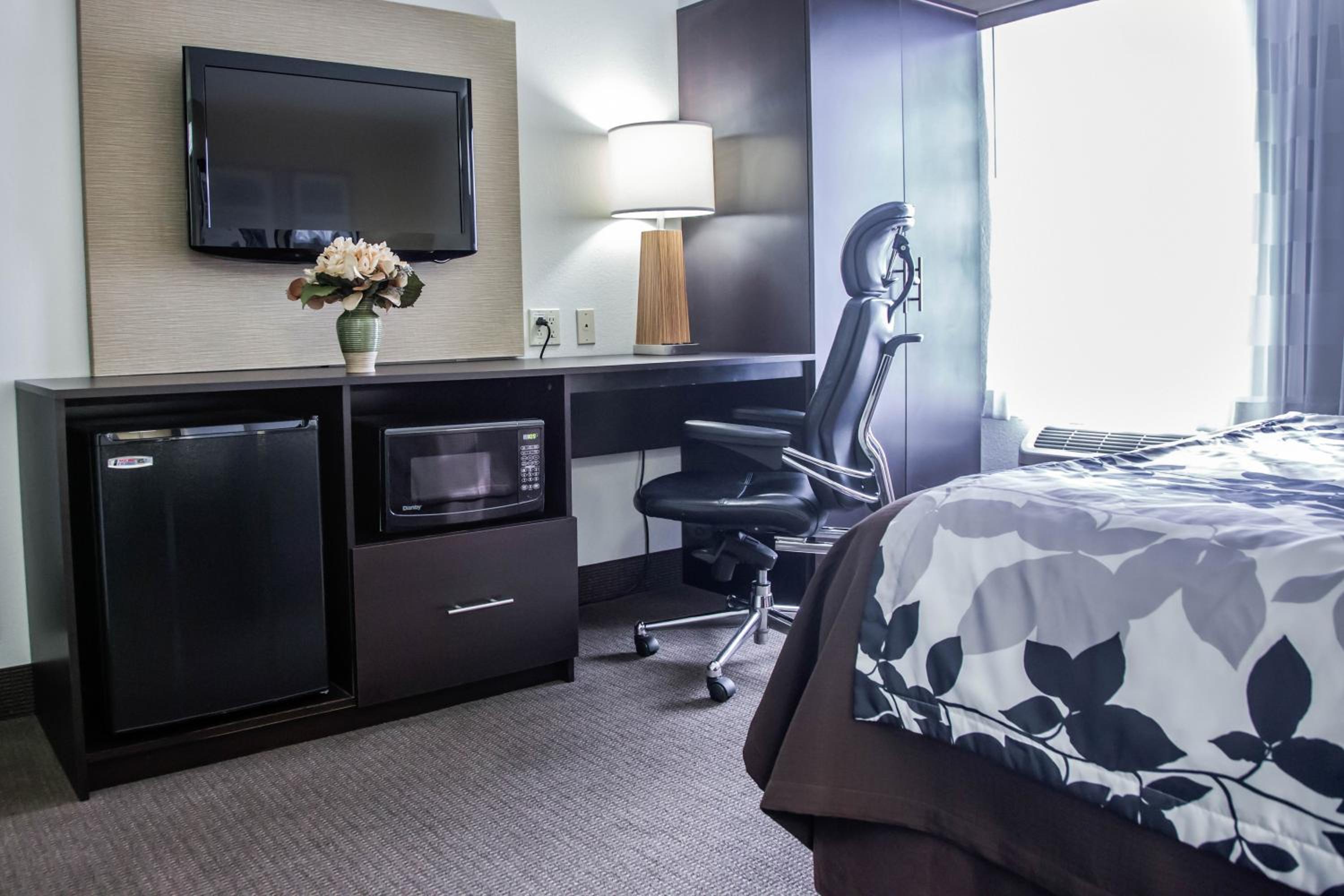 Queen Room - Photo 3