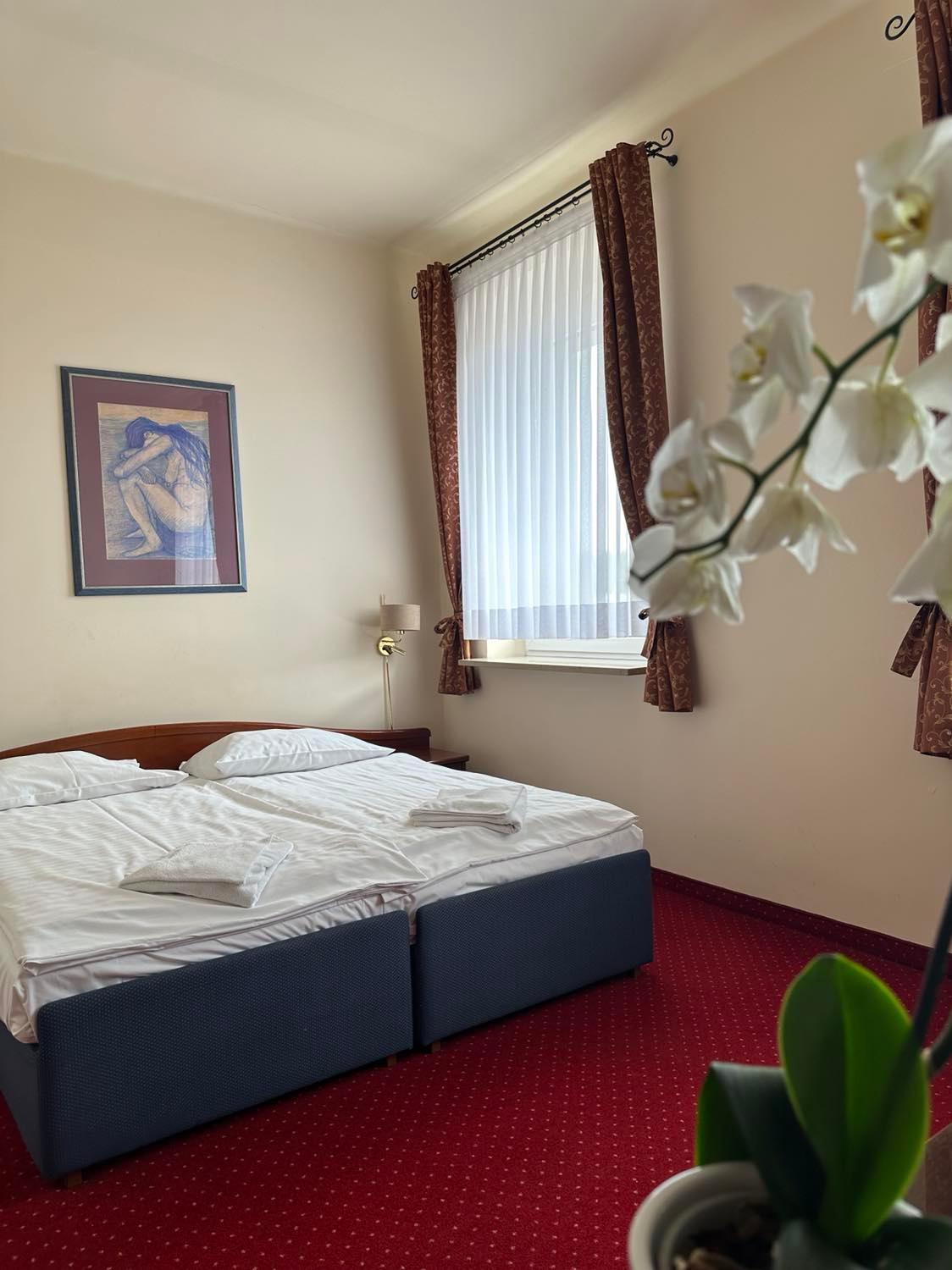 Large Double Room photo 3