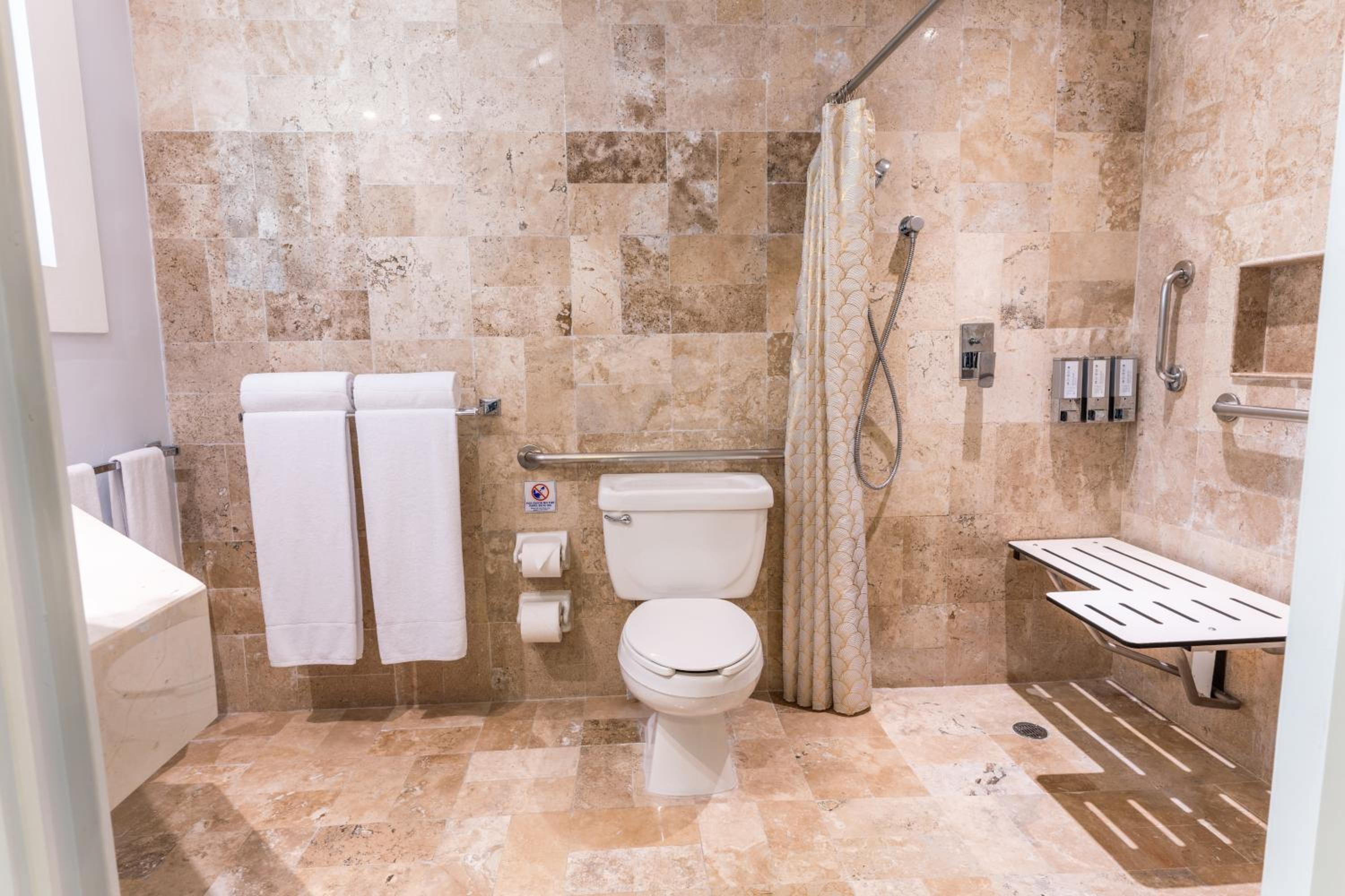 Premium Accessible Room Single Use