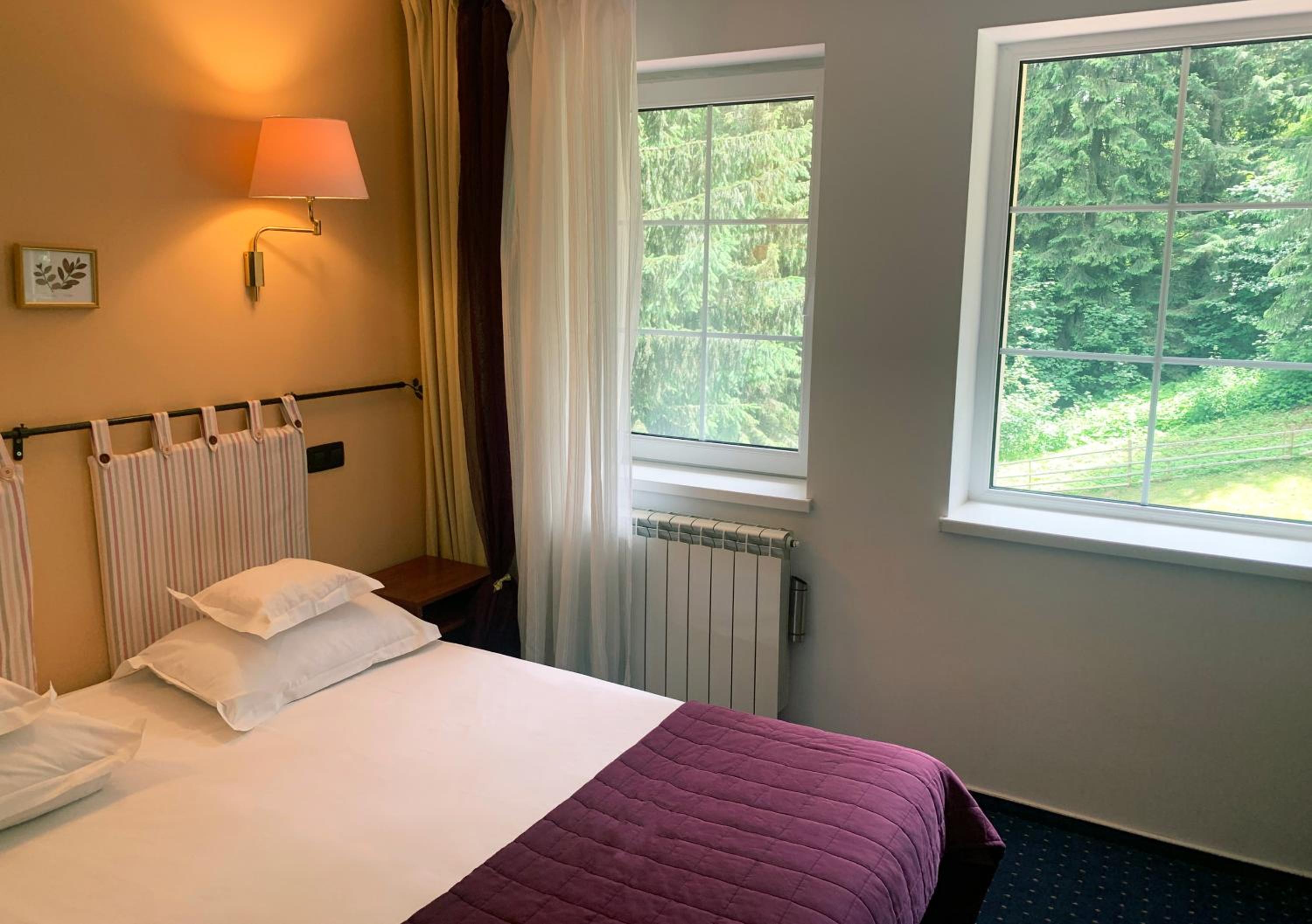 Double Room with Balcony photo 2