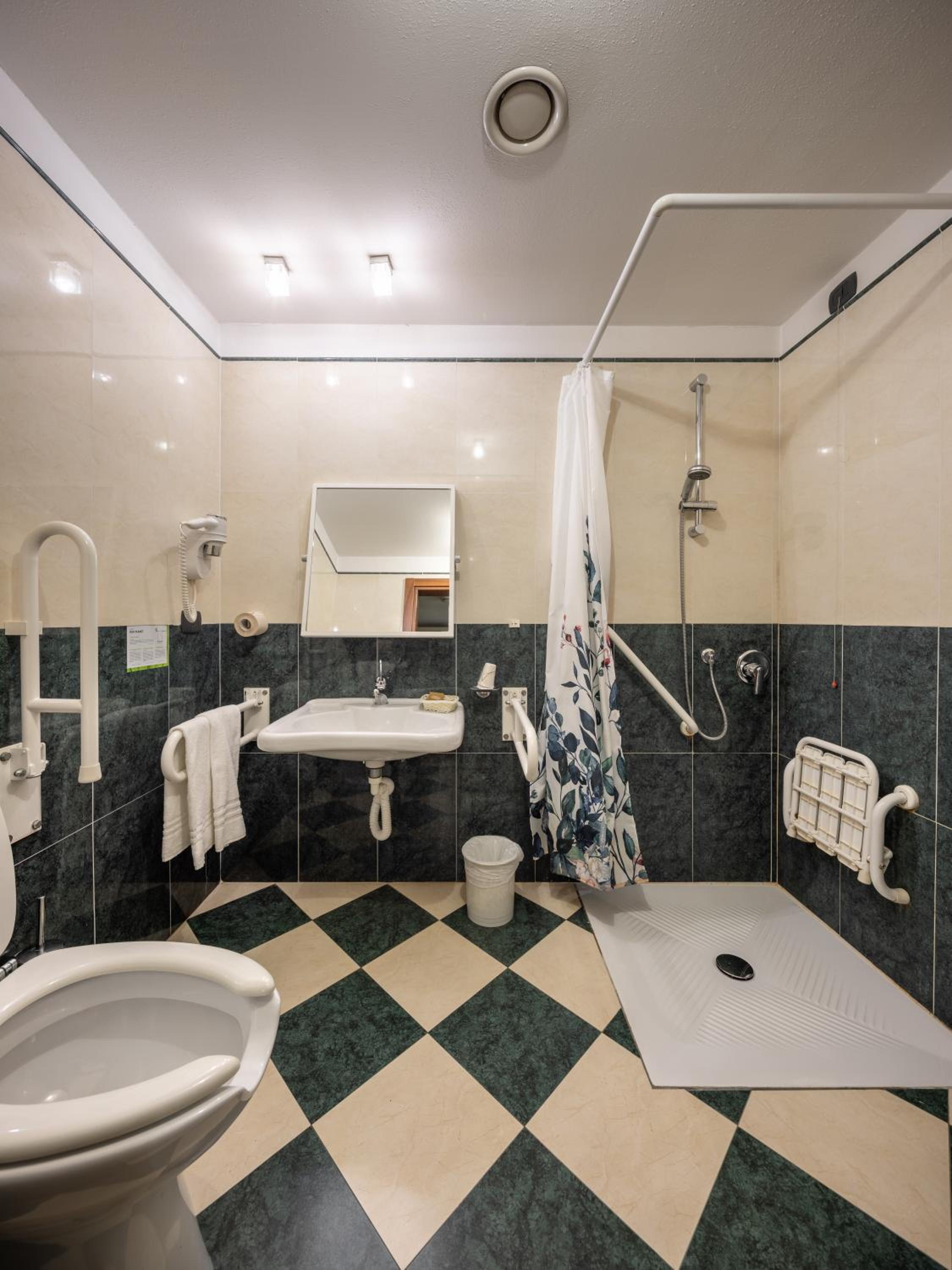 King Room with Roll-In Shower - Disability Access - Photo 3
