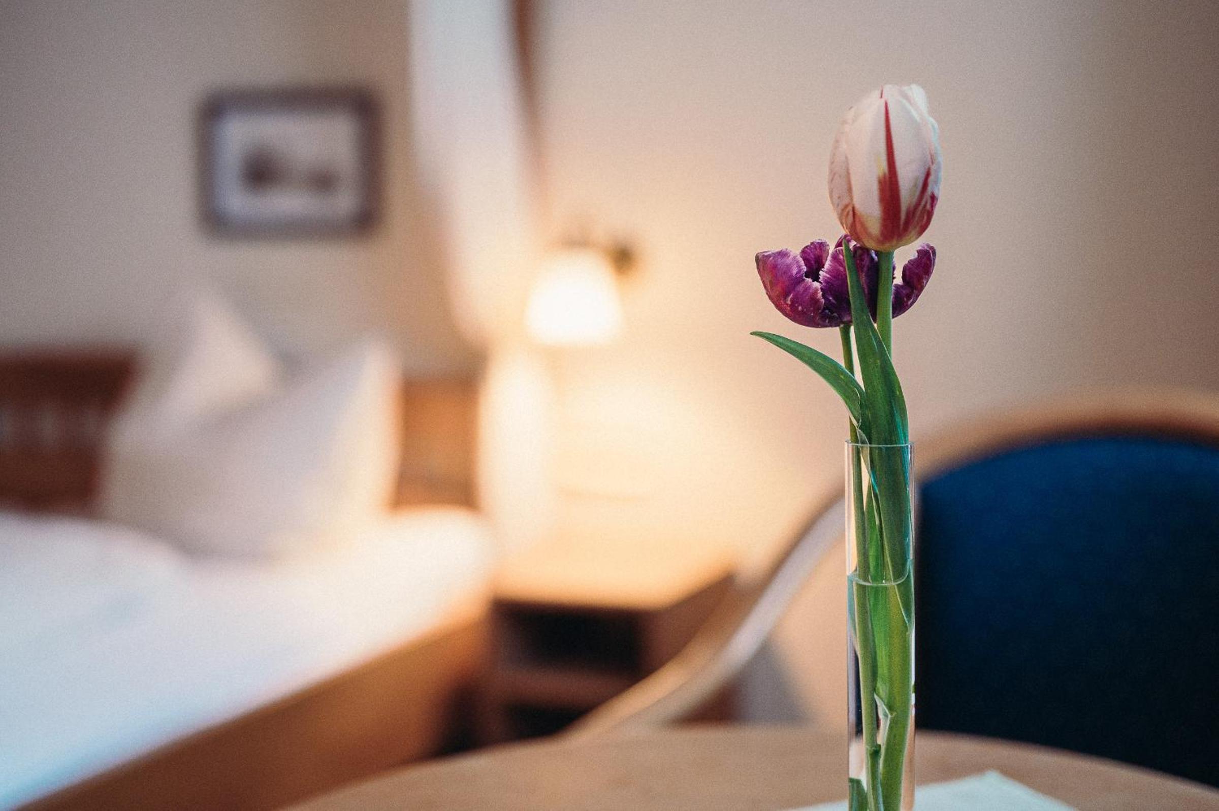 Standard Double Room - Photo 6