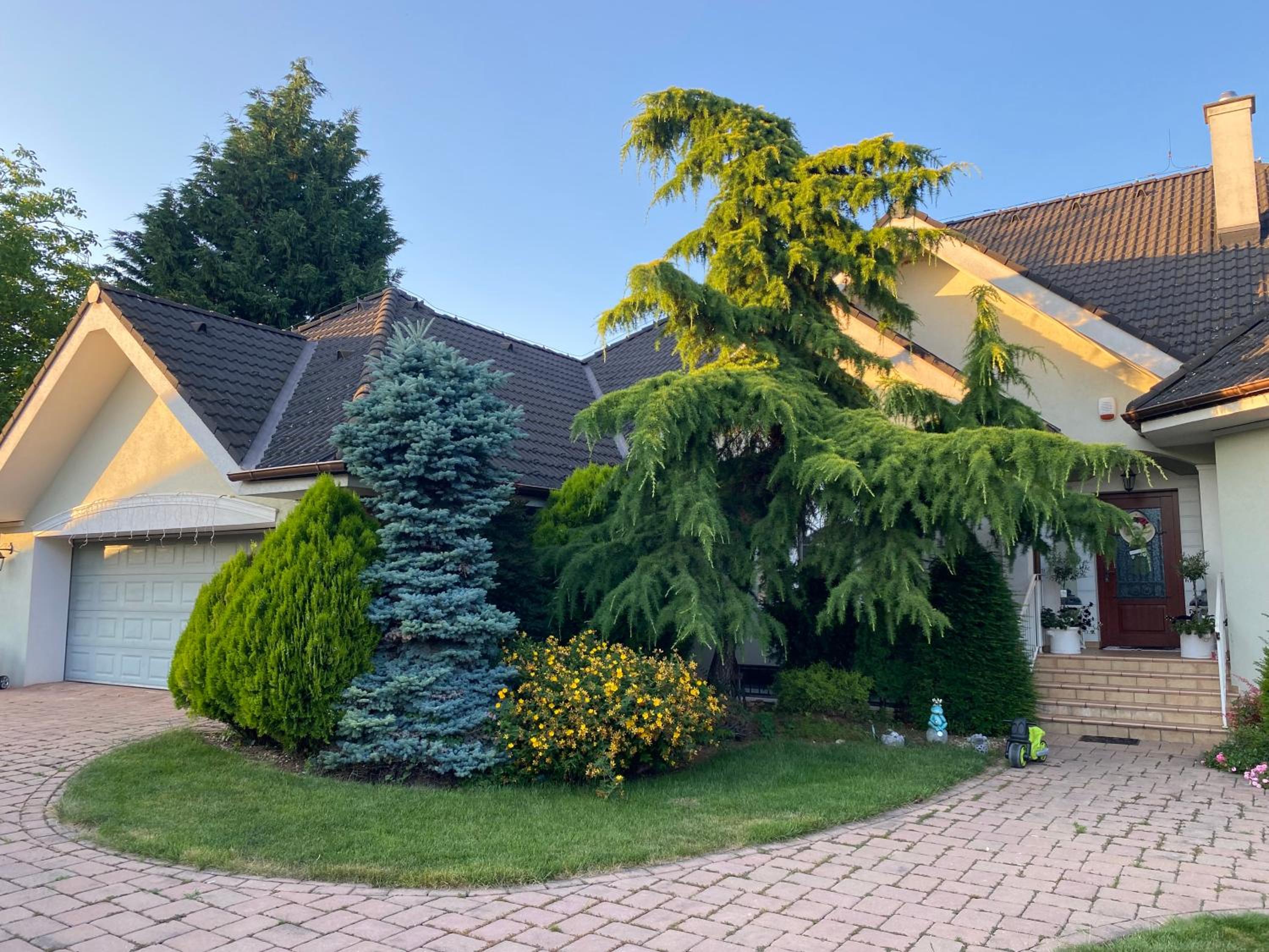 Three-Bedroom House photo 2